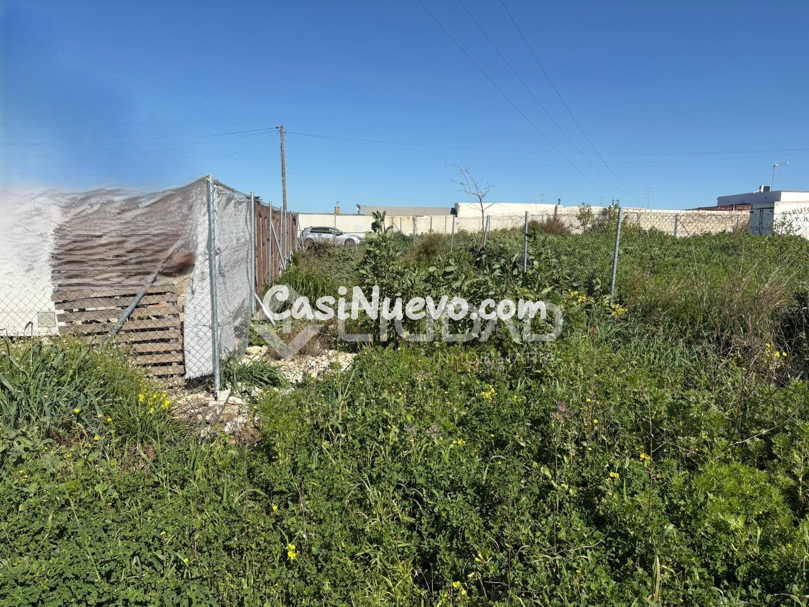Parcela rústica en El Cortijillo - foto 12