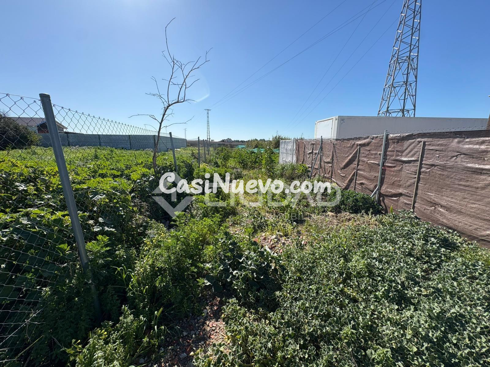 Parcela rústica en El Cortijillo - foto 13