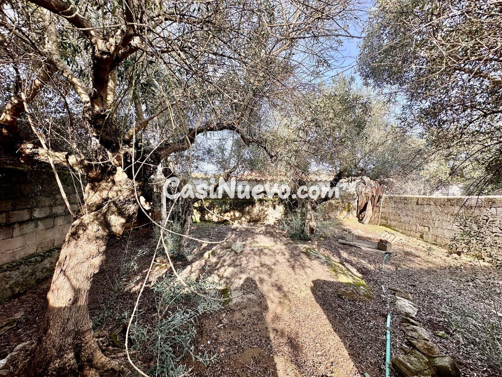 E. Casa en Fuente Obejuna (Andalucia) - foto 19