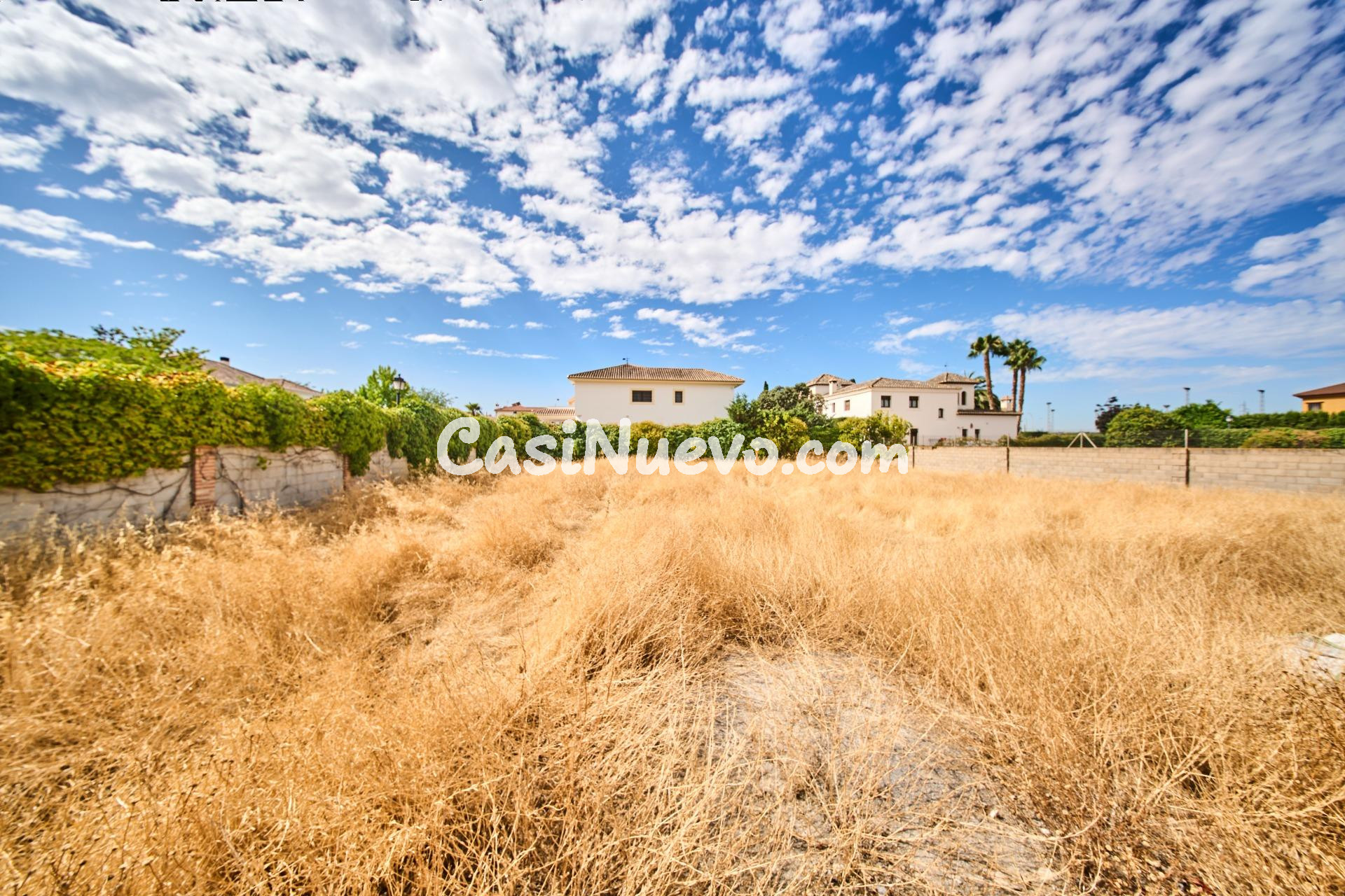 El "Ferrari" de las Parcelas: 1.000 m2 en La Romana para un  - foto 4