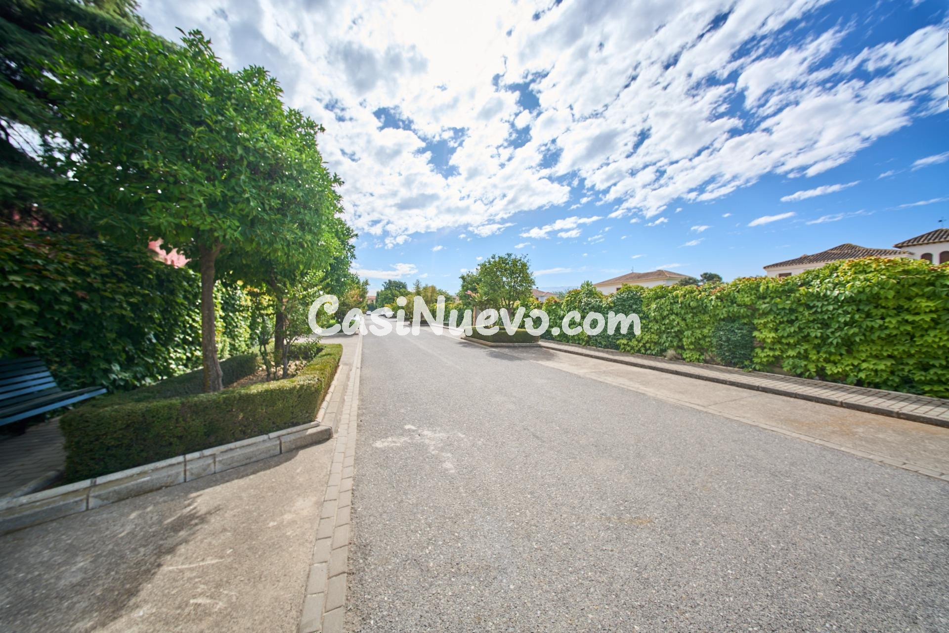 El "Ferrari" de las Parcelas: 1.000 m2 en La Romana para un  - foto 5