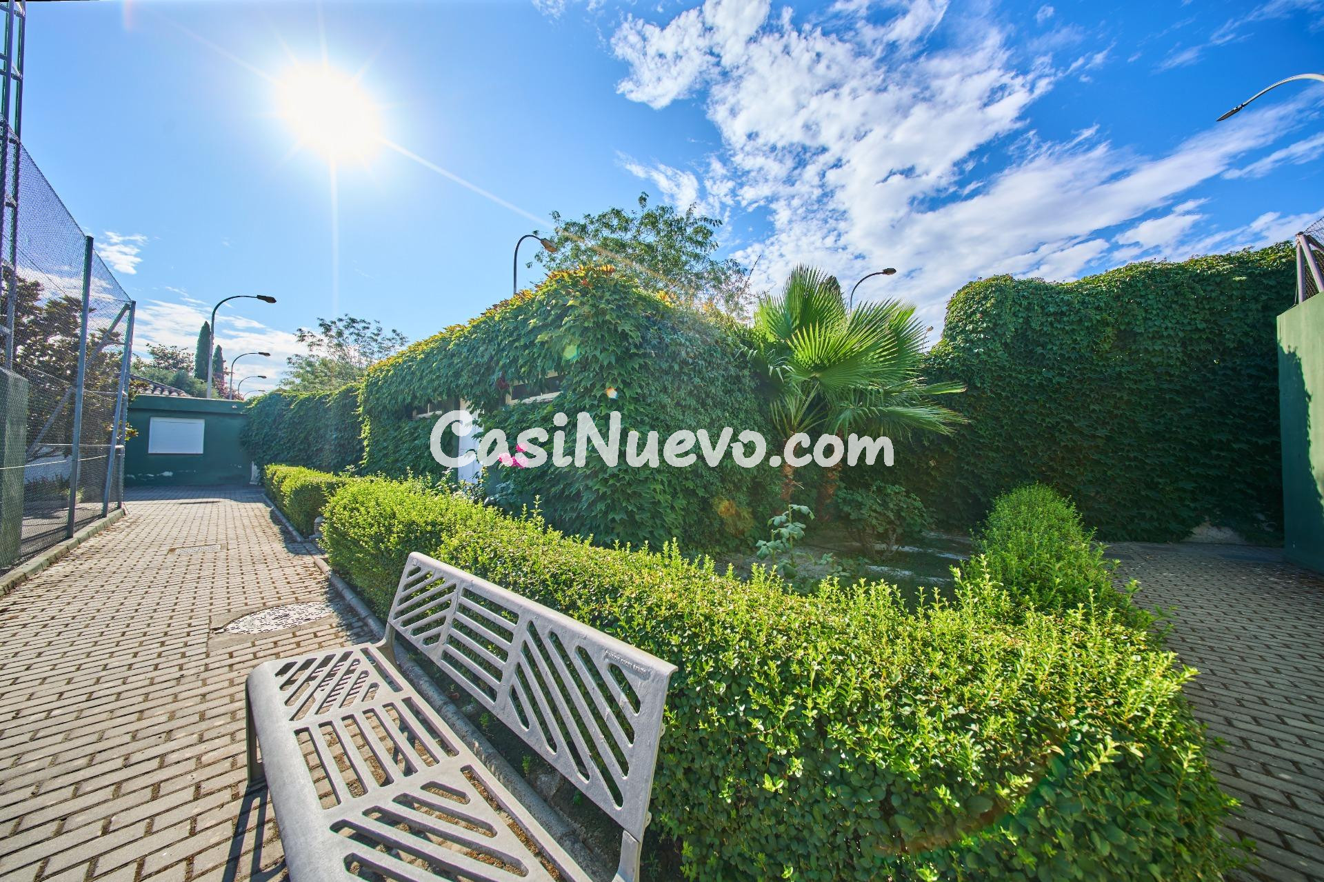 El "Ferrari" de las Parcelas: 1.000 m2 en La Romana para un  - foto 11