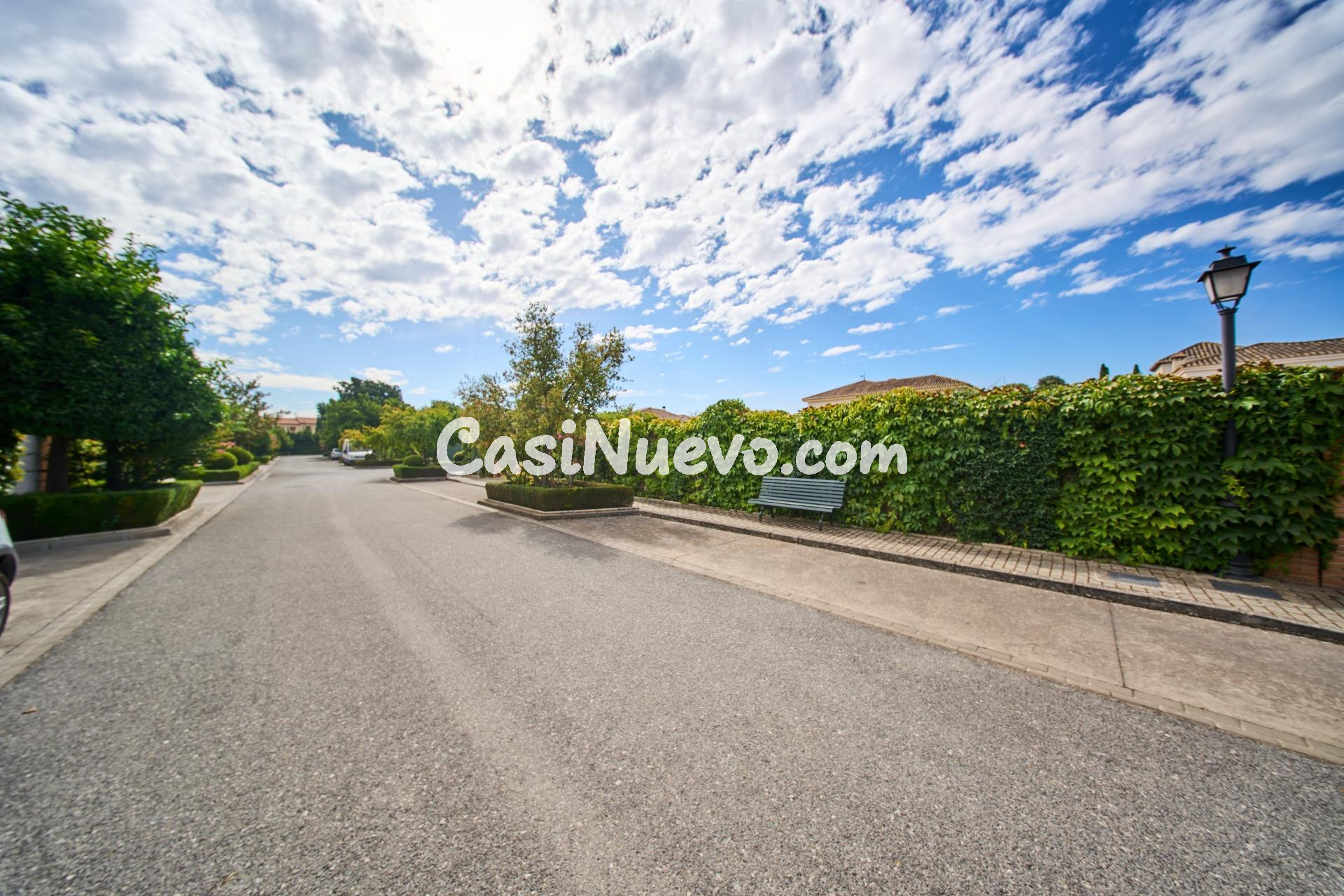 El "Ferrari" de las Parcelas: 1.000 m2 en La Romana para un  - foto 15