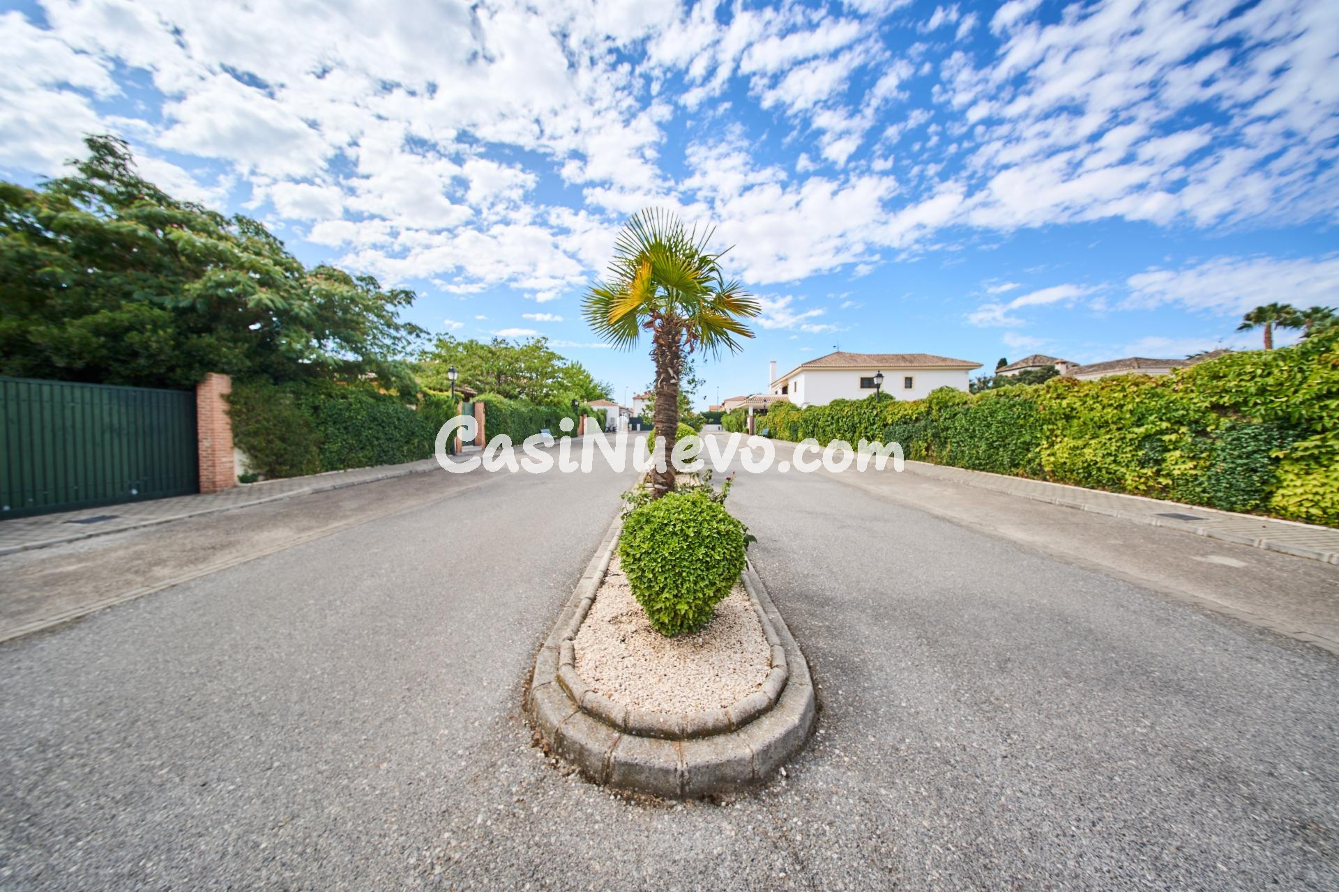 El "Ferrari" de las Parcelas: 1.000 m2 en La Romana para un  - foto 16