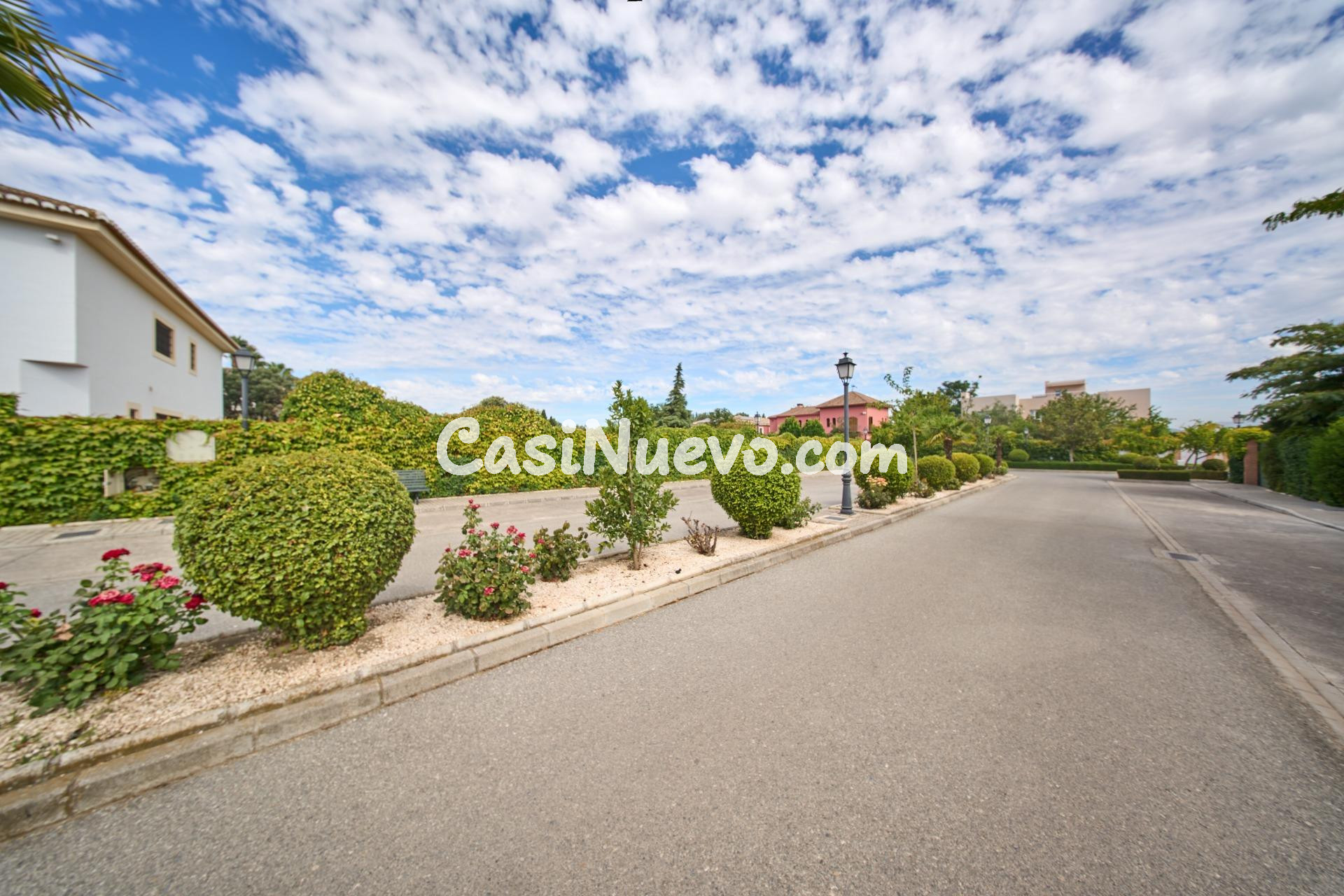 El "Ferrari" de las Parcelas: 1.000 m2 en La Romana para un  - foto 18