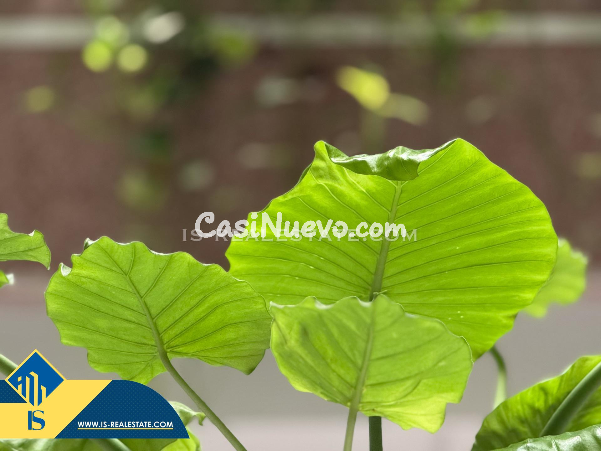 !Edificio Mariblanca! Exclusivo apartamento con gigantesca t - foto 5