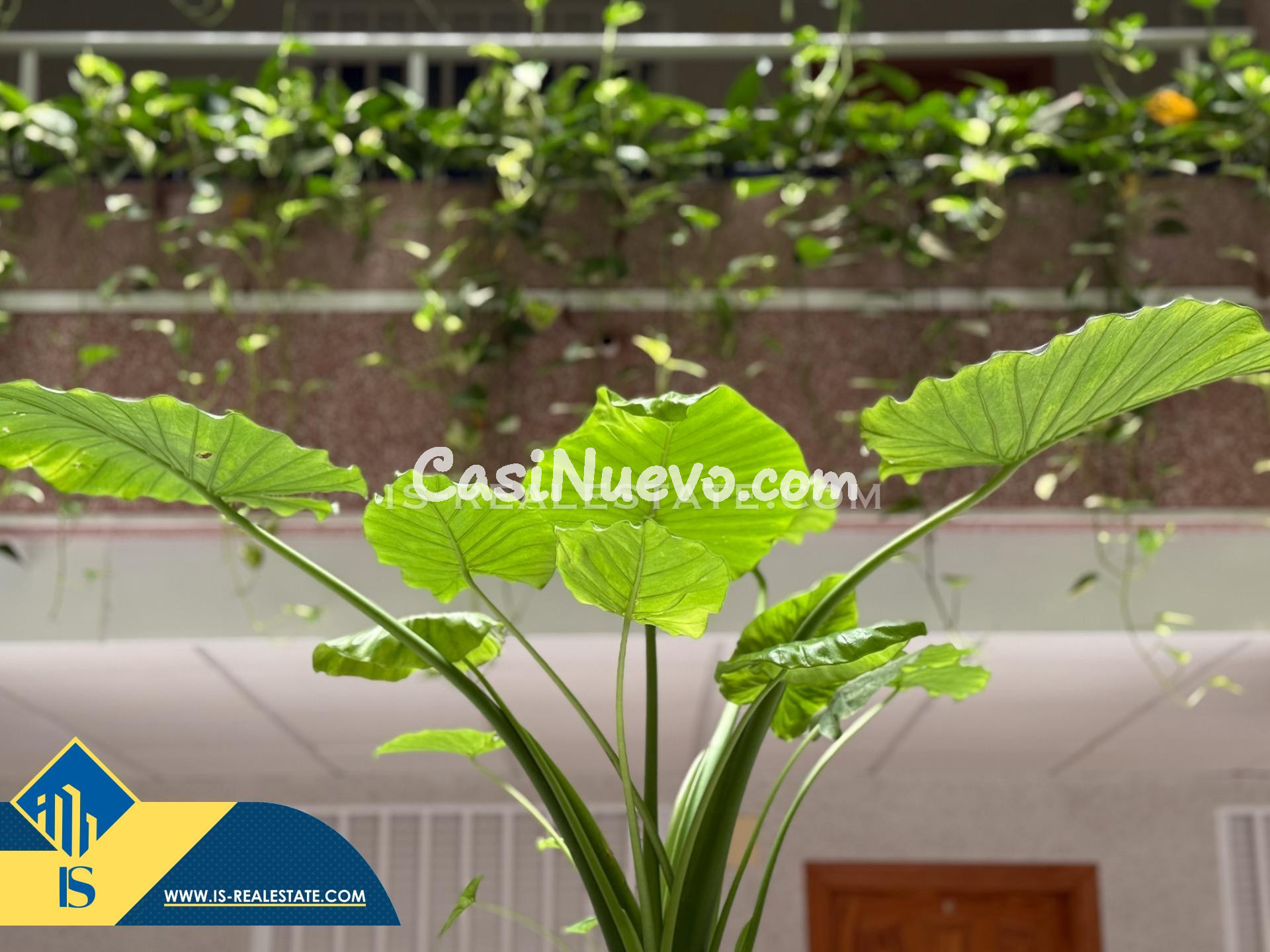 !Edificio Mariblanca! Exclusivo apartamento con gigantesca t - foto 38