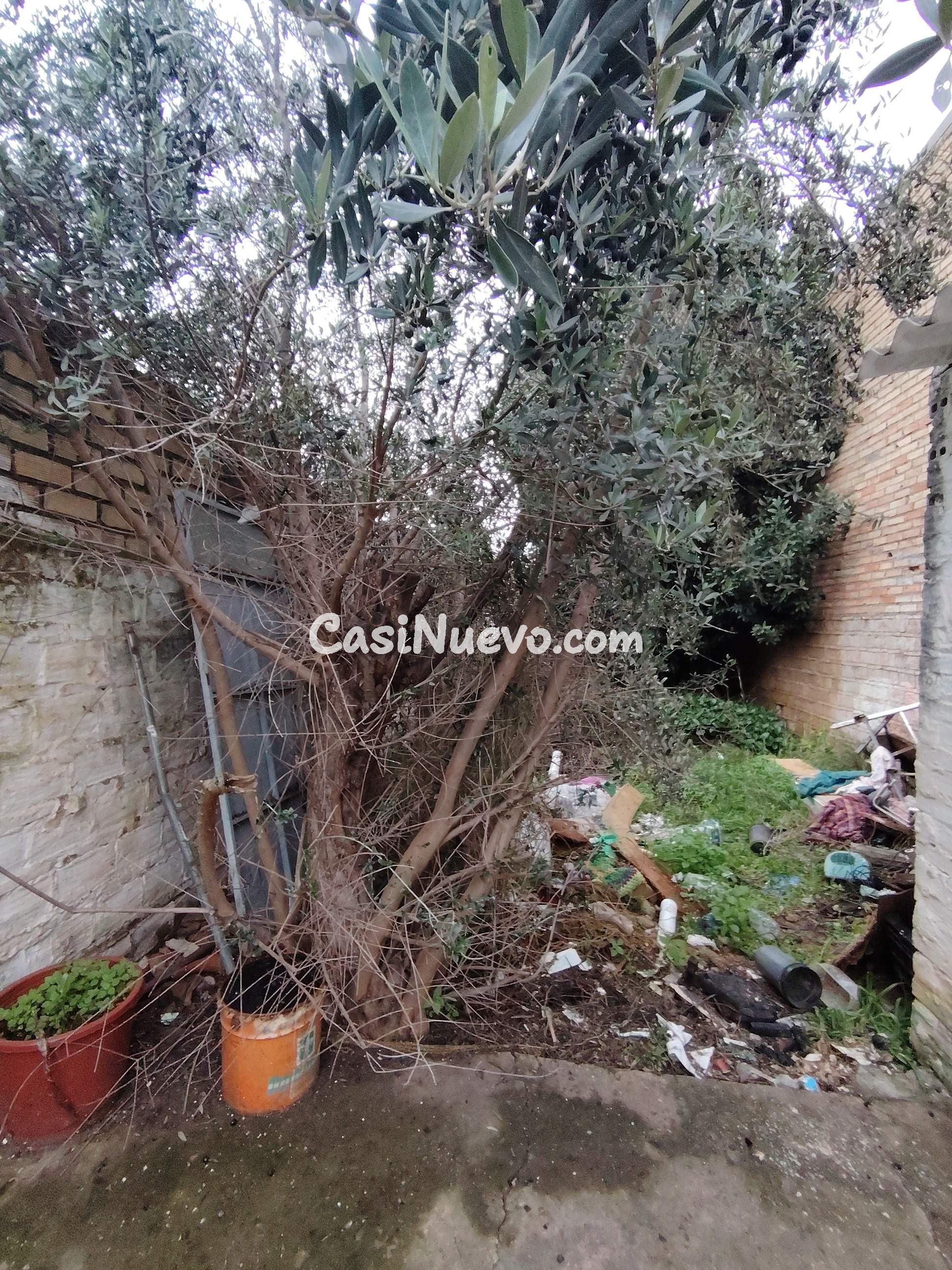 CASA ADOSADA DE PLANTA BAJA EN BRENES 178 M2 DE PARCELA - foto 16