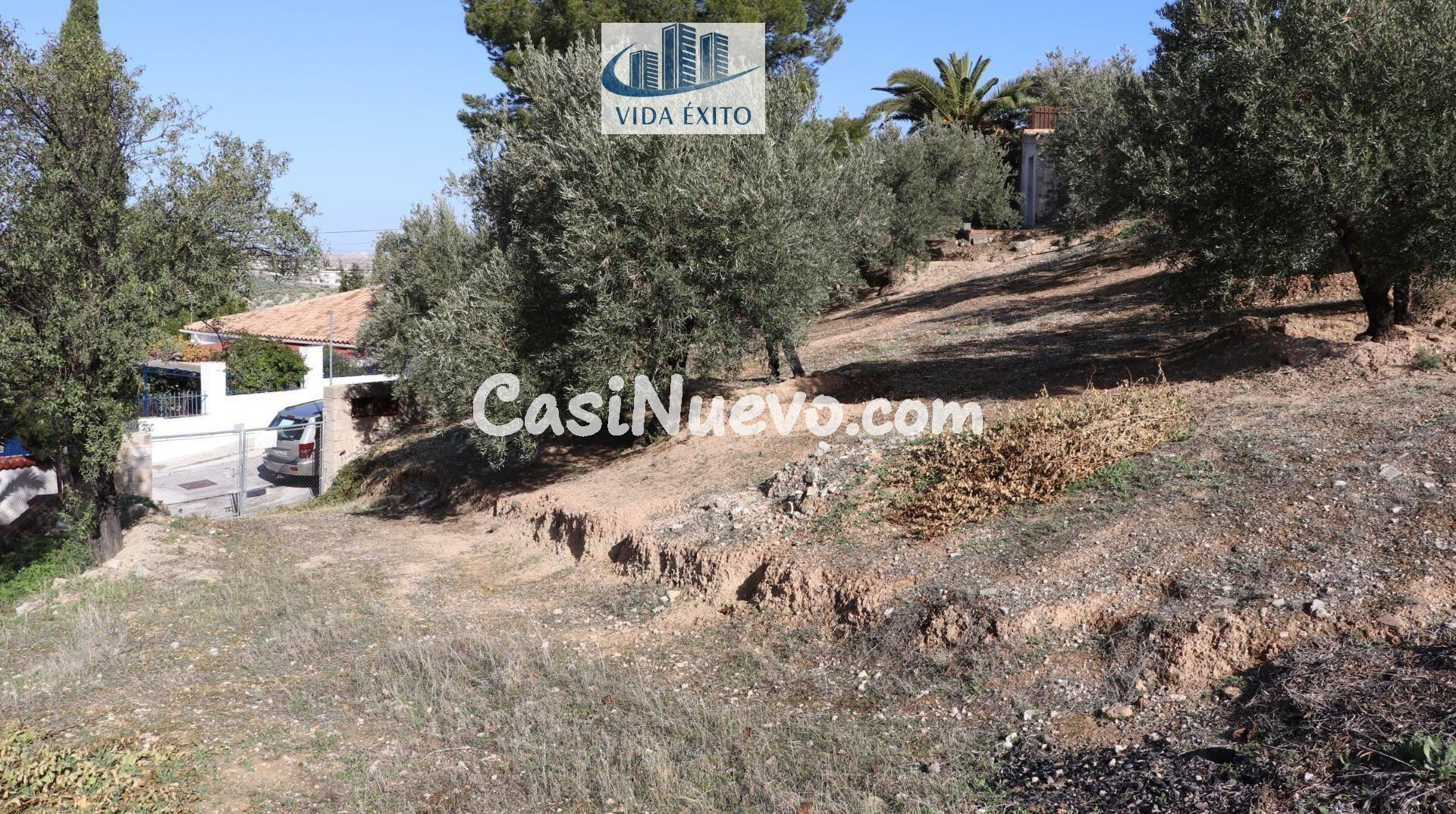 PARCELA EN TENTESON - foto 2