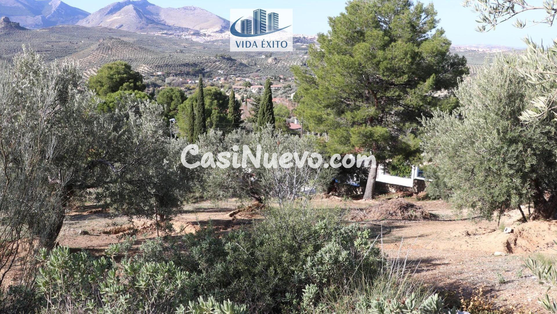 PARCELA EN TENTESON - foto 3