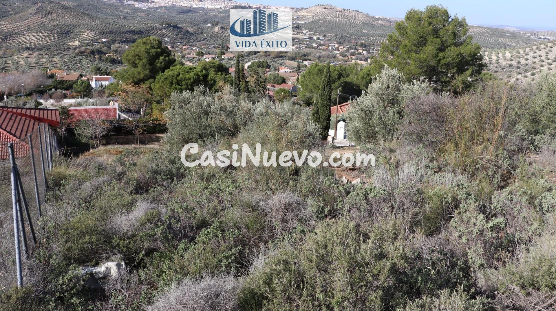 PARCELA EN TENTESON - foto 4