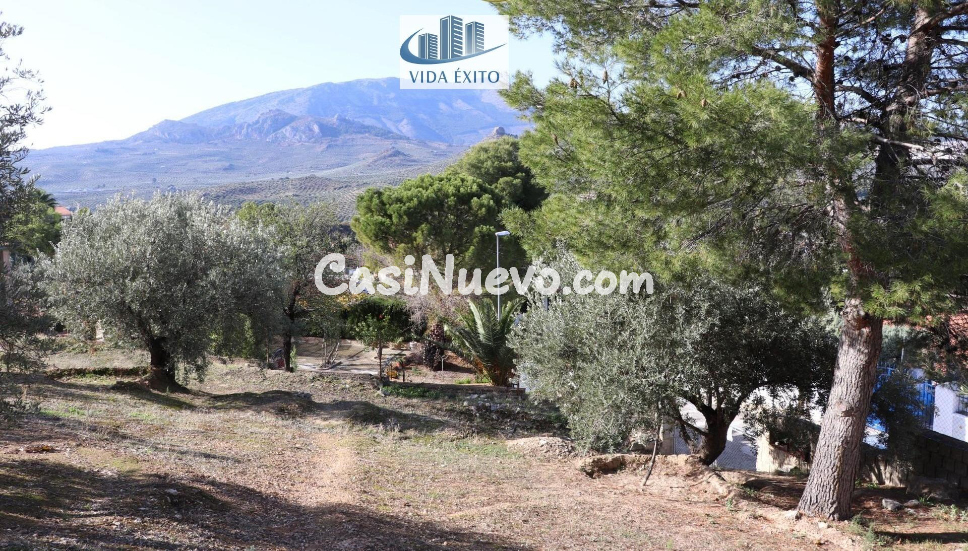 PARCELA EN TENTESON - foto 6