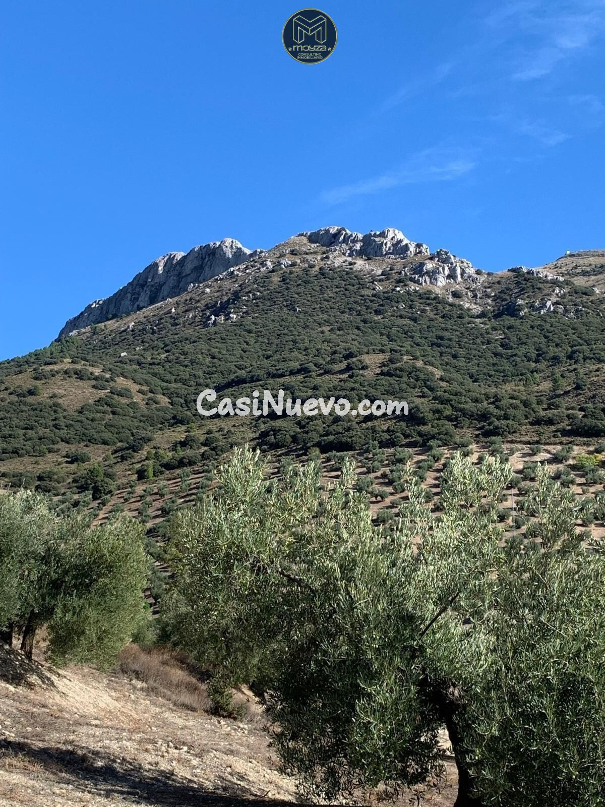 CHALET EN TORREDELCAMPO - foto 12