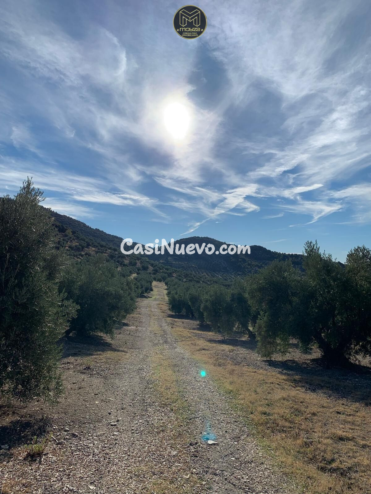 CHALET EN TORREDELCAMPO - foto 13