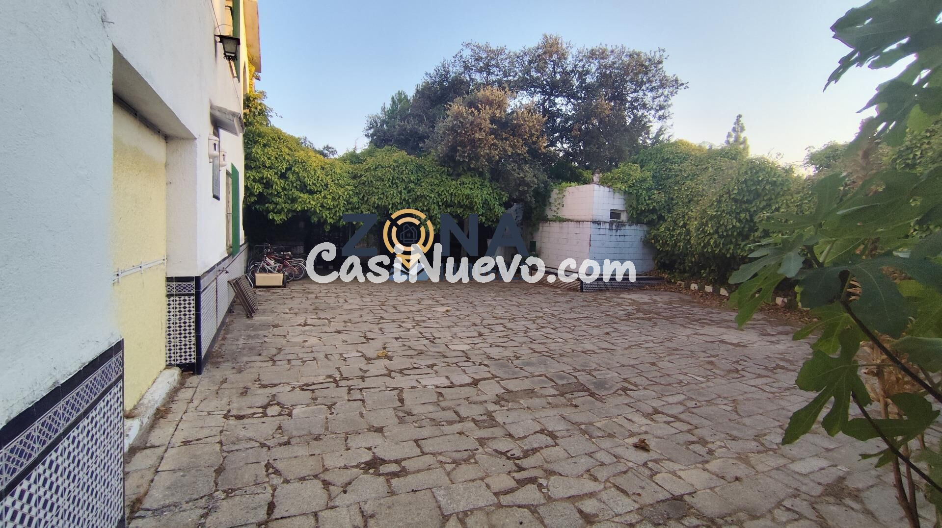 CHALET CON PISCINA EN PARCELA DE 4.700M2 EN EL MONTE DEL CAS - foto 9