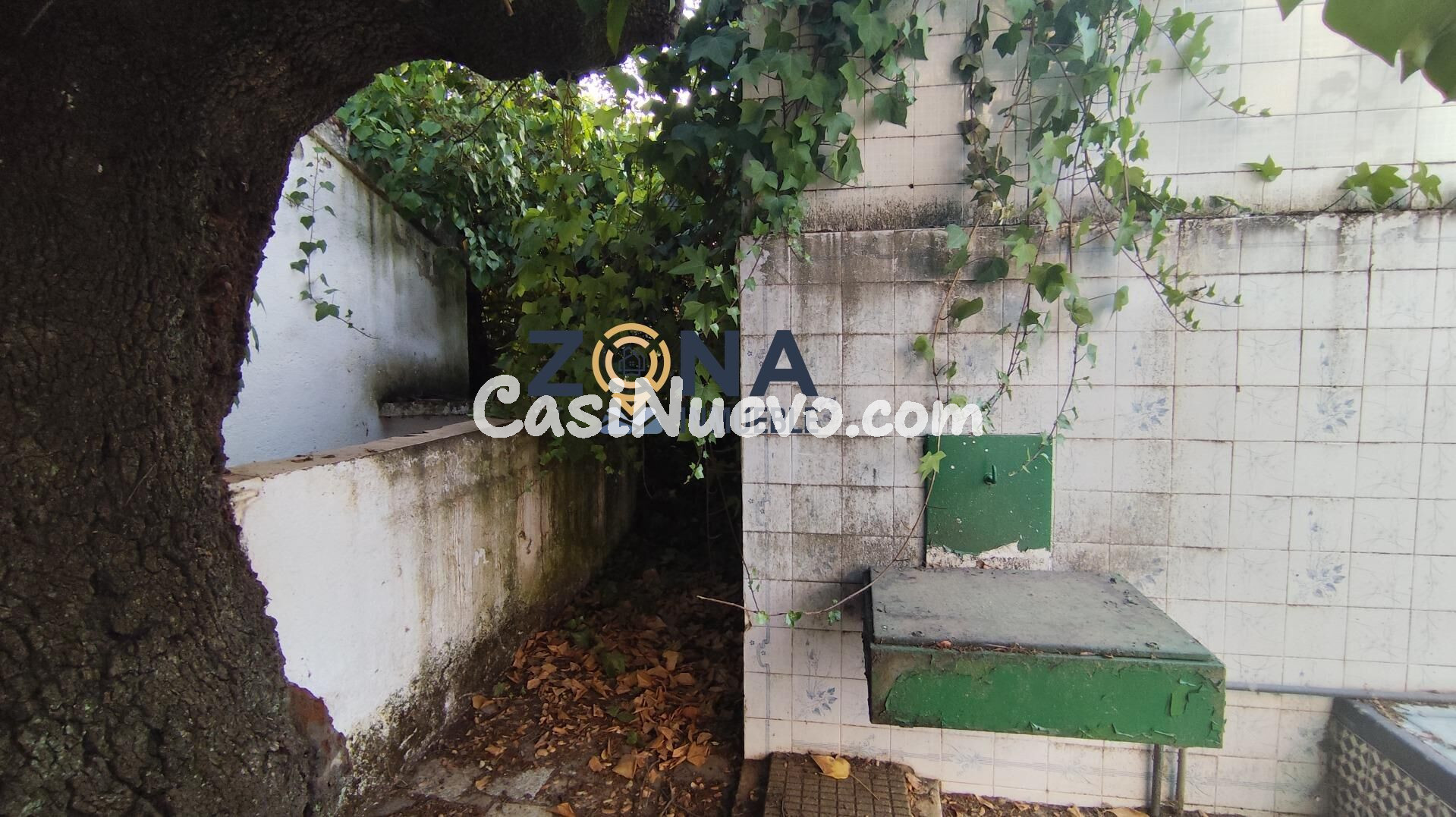 CHALET CON PISCINA EN PARCELA DE 4.700M2 EN EL MONTE DEL CAS - foto 11