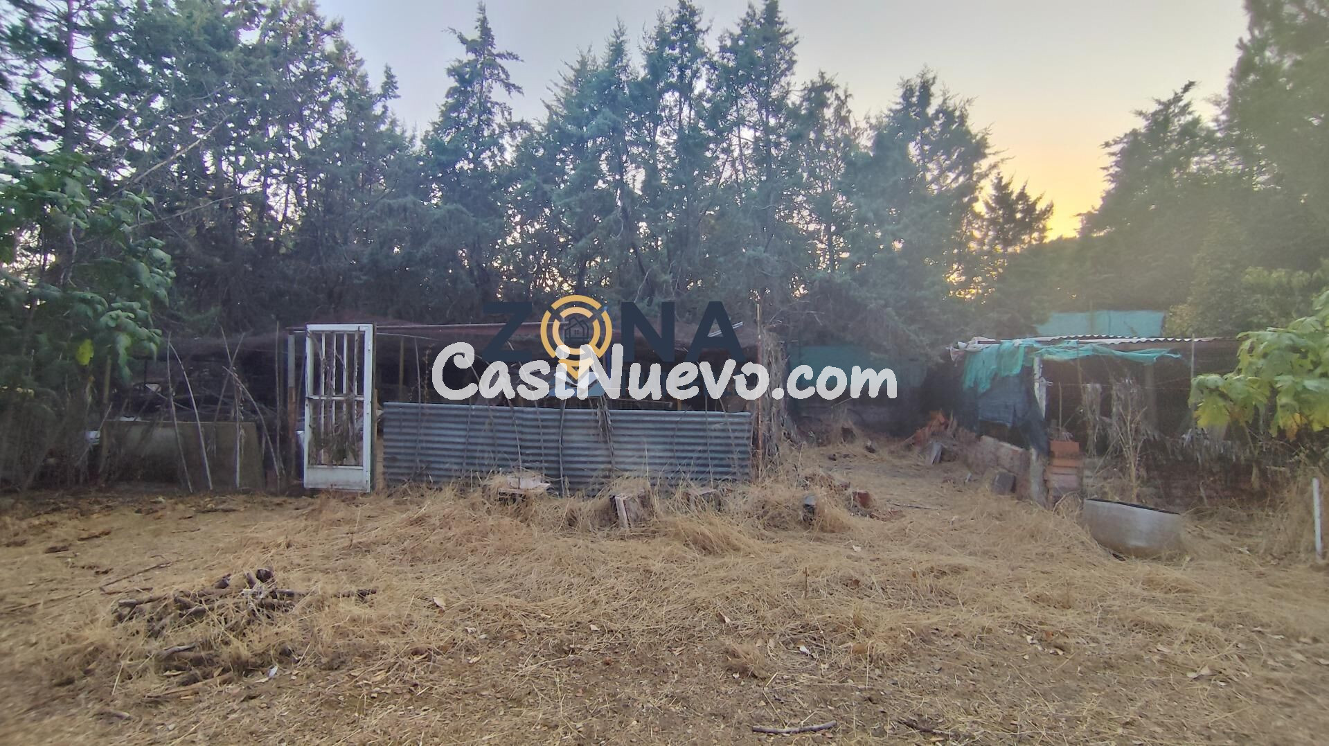 CHALET CON PISCINA EN PARCELA DE 4.700M2 EN EL MONTE DEL CAS - foto 16