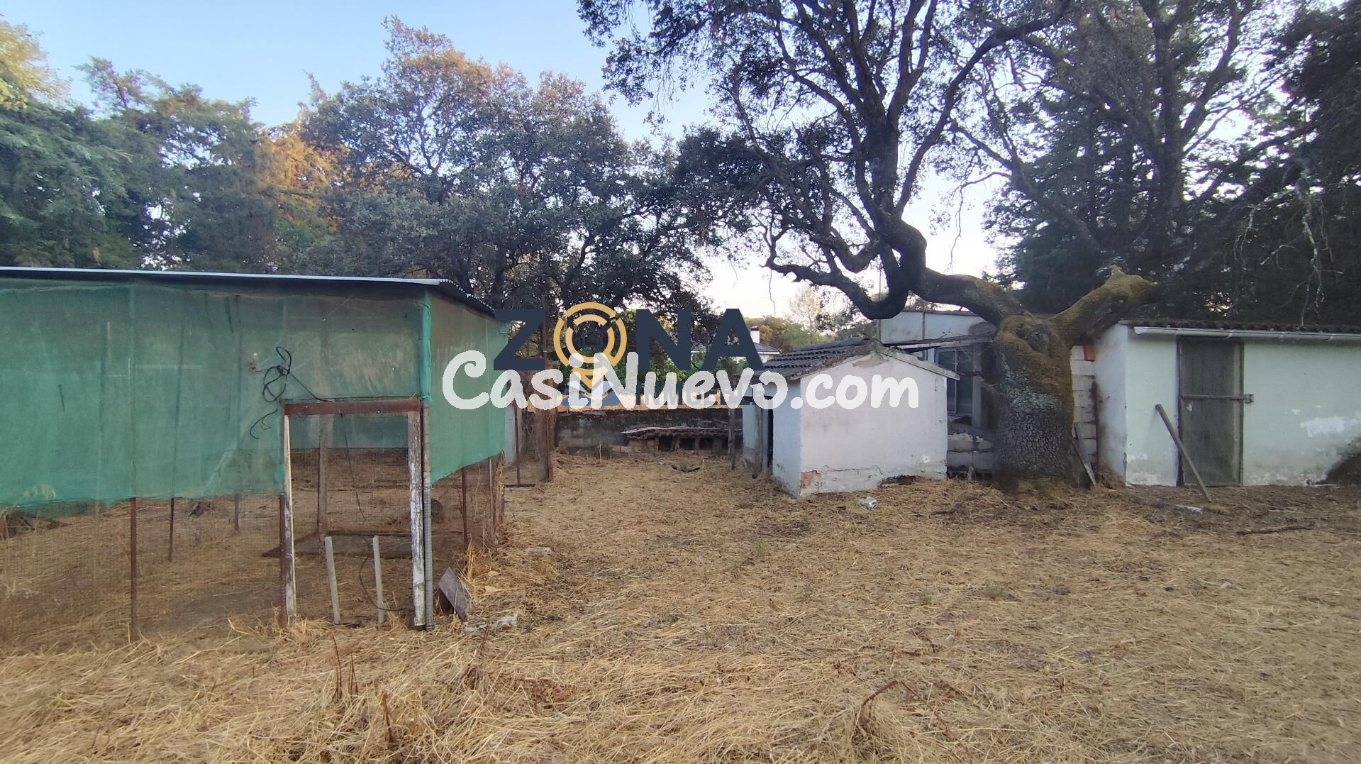 CHALET CON PISCINA EN PARCELA DE 4.700M2 EN EL MONTE DEL CAS - foto 25