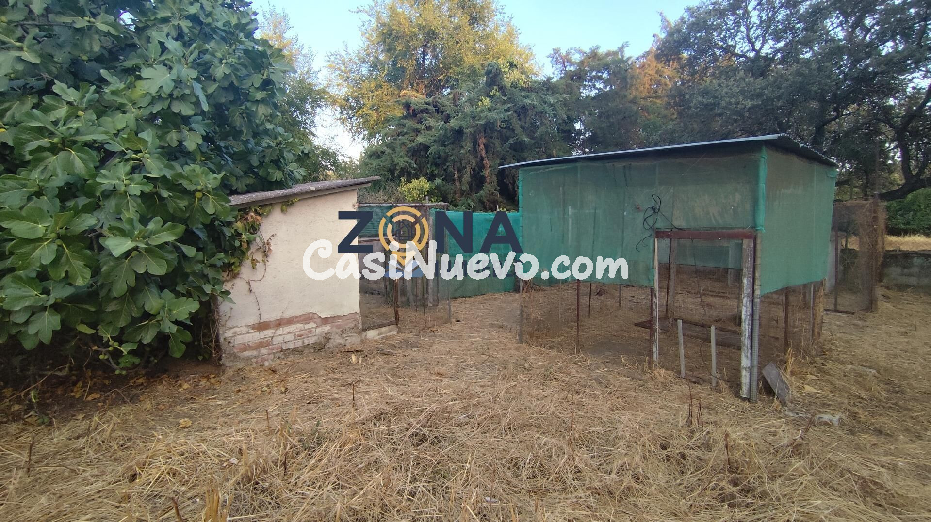 CHALET CON PISCINA EN PARCELA DE 4.700M2 EN EL MONTE DEL CAS - foto 26