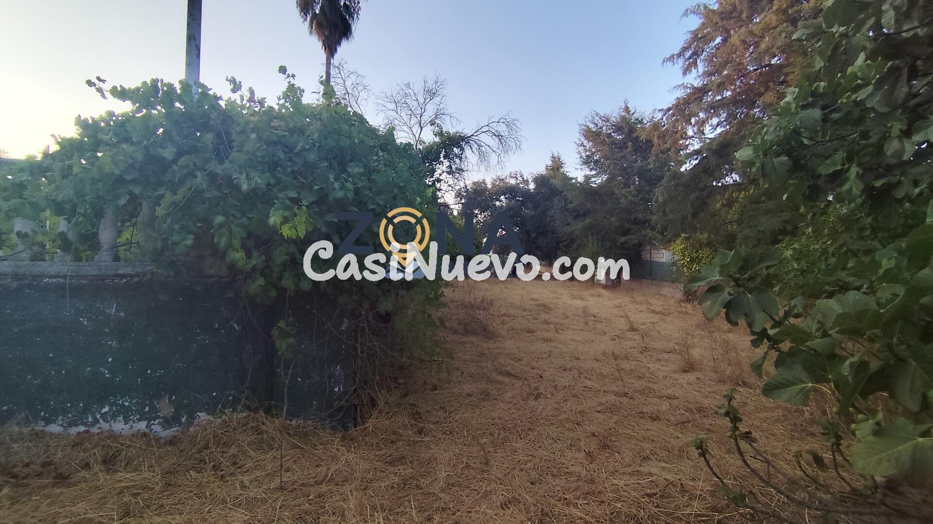 CHALET CON PISCINA EN PARCELA DE 4.700M2 EN EL MONTE DEL CAS - foto 27