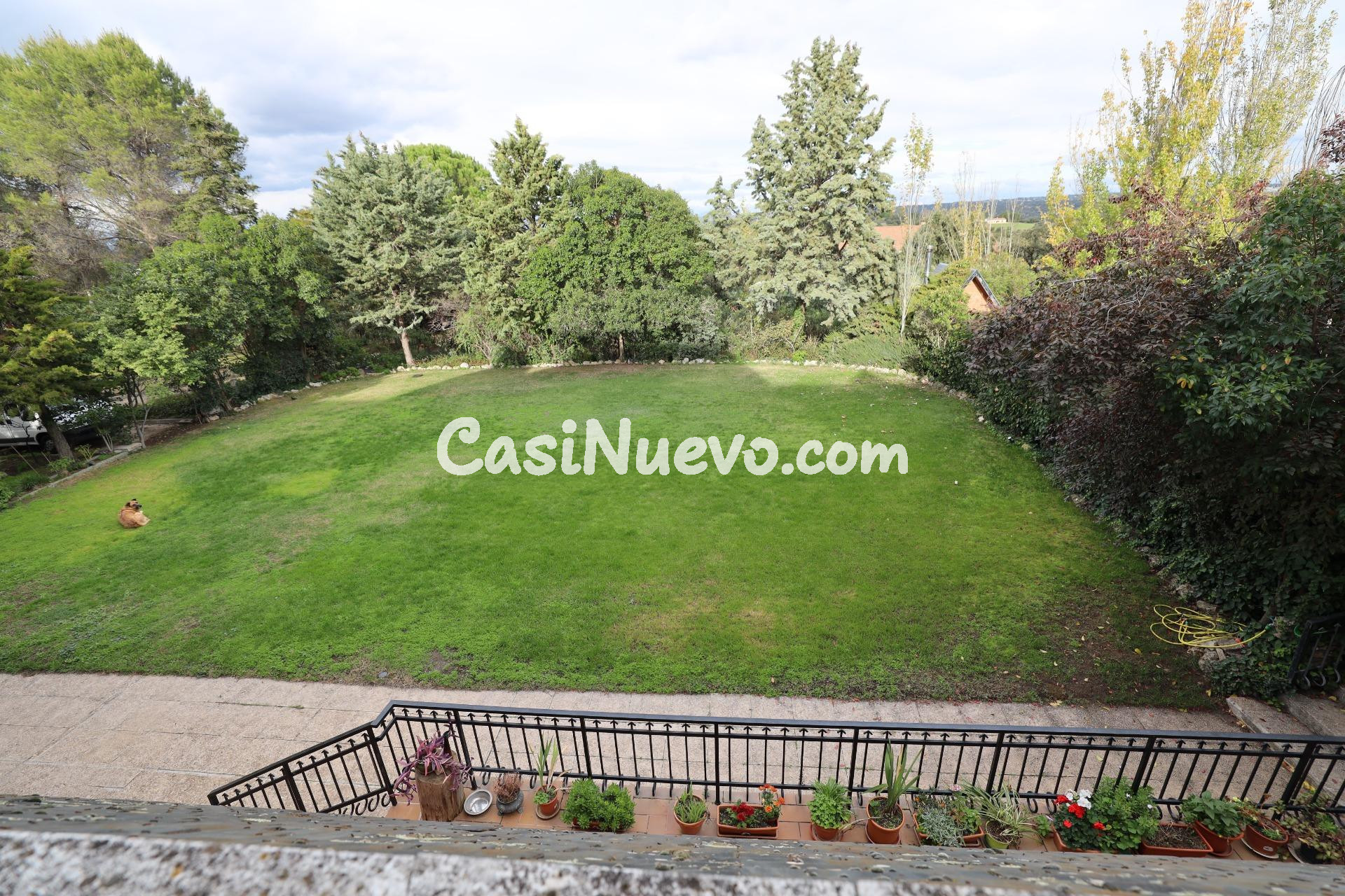 Mansión residencial: Privacidad, naturaleza y gran potencial - foto 9