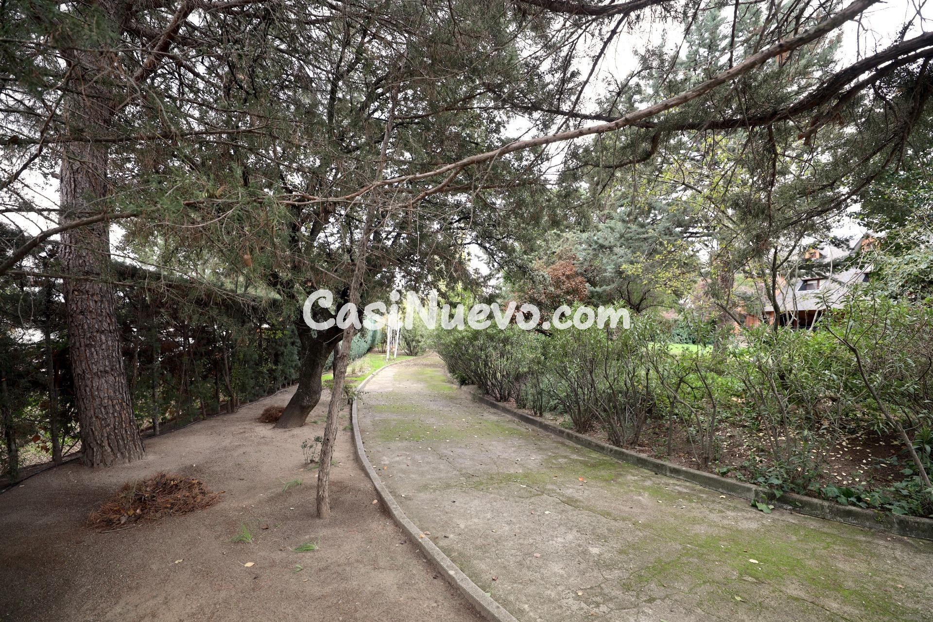 Mansión residencial: Privacidad, naturaleza y gran potencial - foto 37