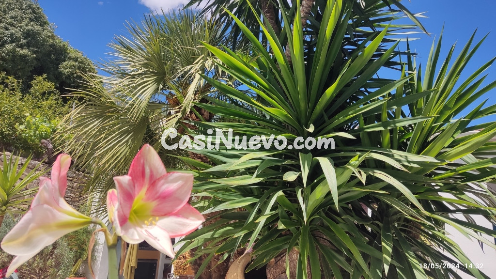 Casa-Chalet en Venta en Moratalla Murcia - foto 9