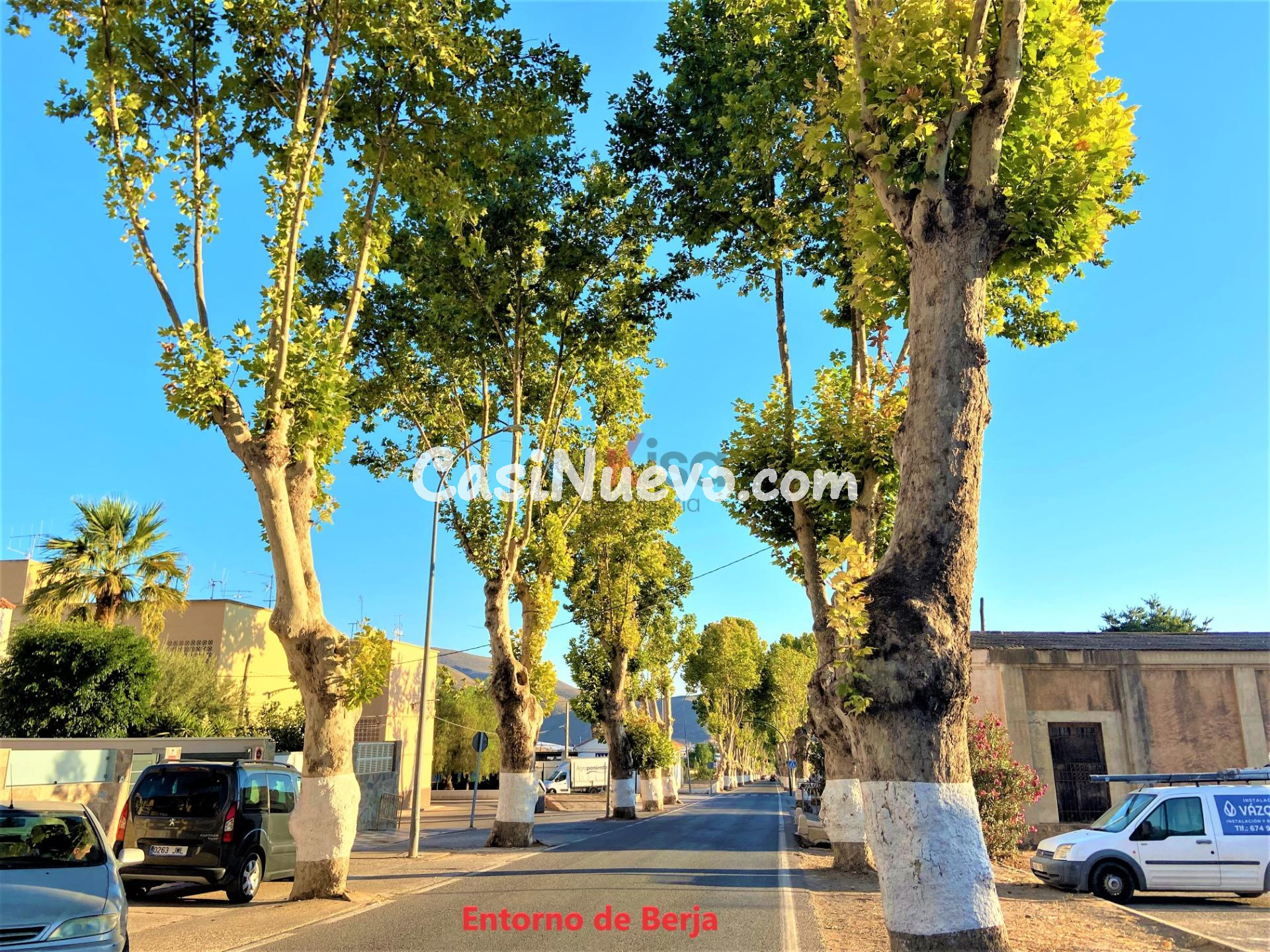 Espectacular Casa Dúplex con Huerto en el Corazón de Berja - foto 28