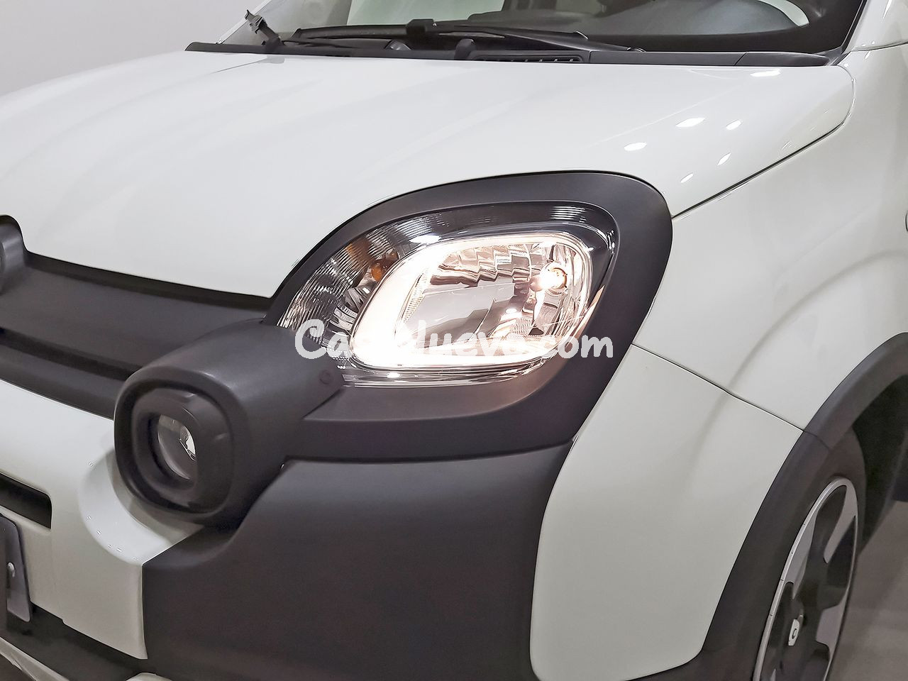 Fiat Panda Panda Cross 1.0 Hybrid 51kw (70CV) - foto 30