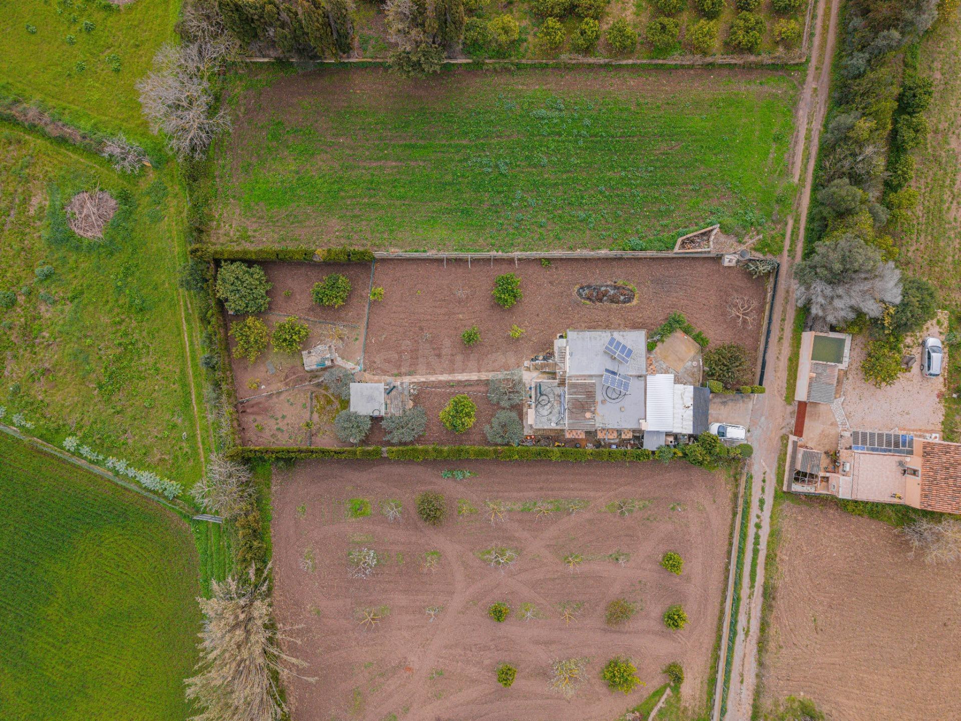 Se vende finca Rústica con casa en Son Servera - foto 2