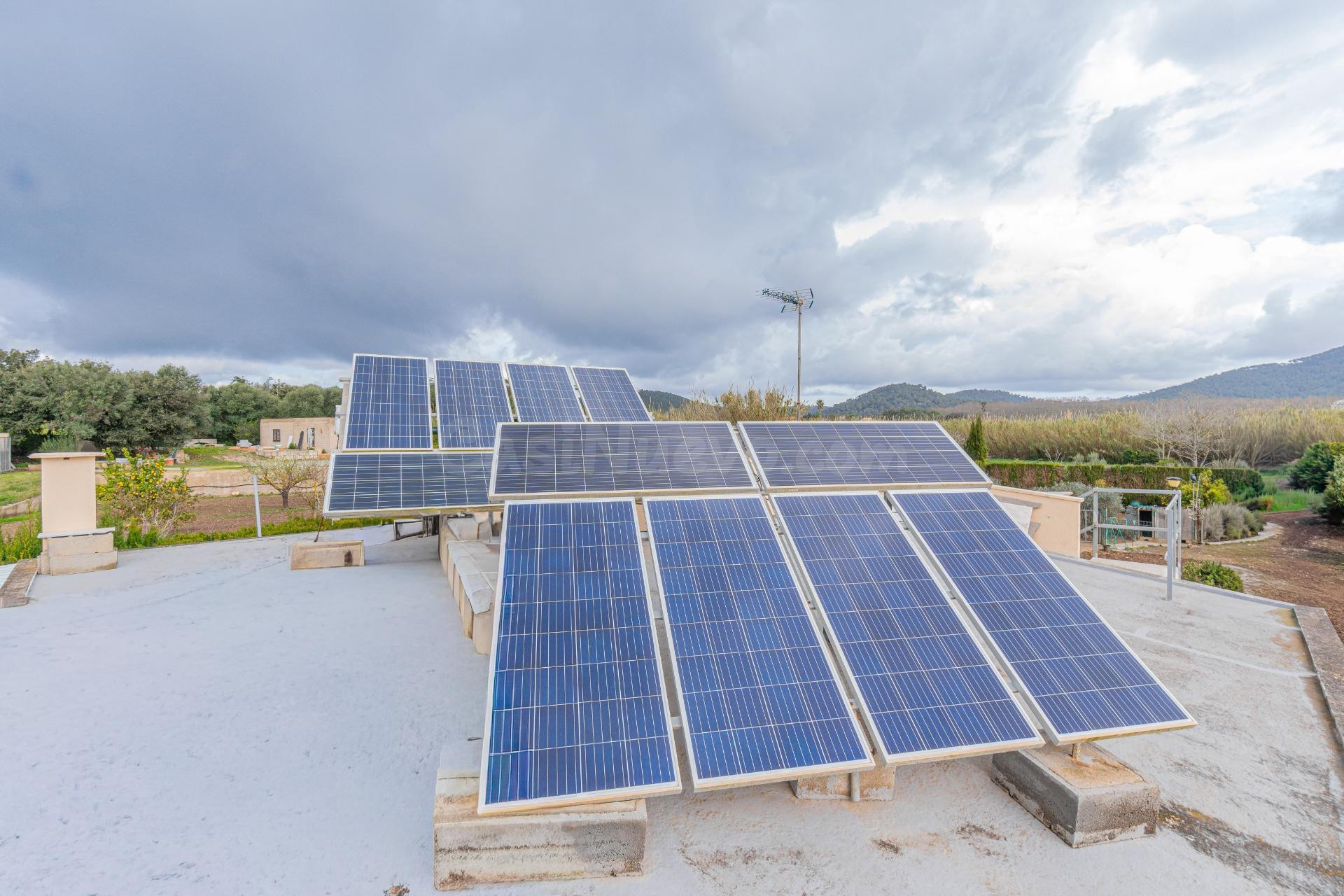 Se vende finca Rústica con casa en Son Servera - foto 24