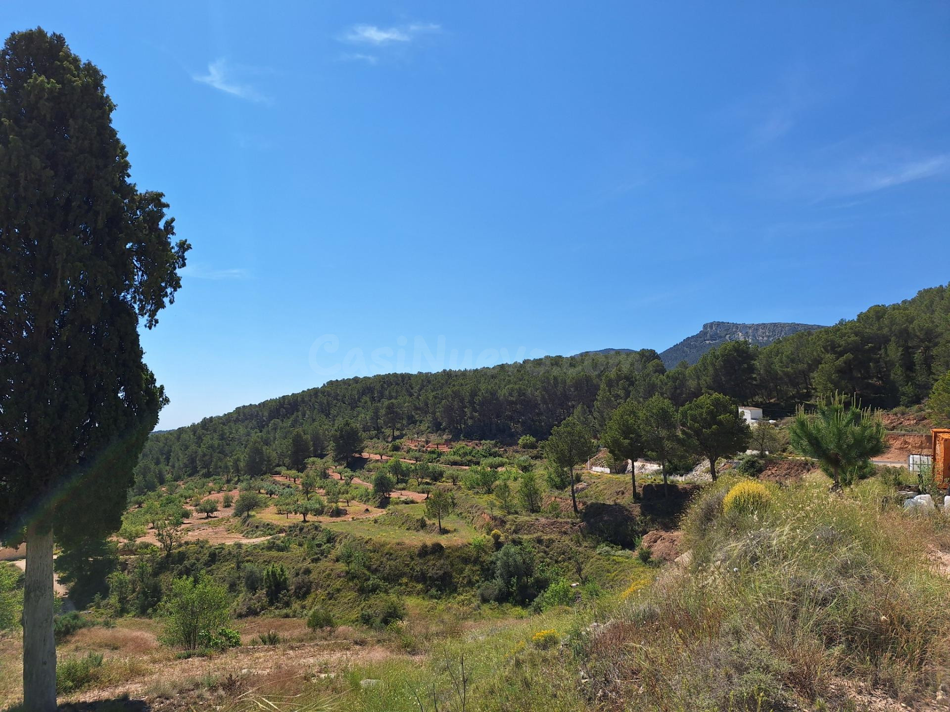 OPORTUNIDAD TERRENO RUSTICO CON PRODUCCION AGRICOLA A 3KM. DE CASTALLA Y MUY BUENA ACCESIBILIDAD, EN ZONA CASETA LEAL