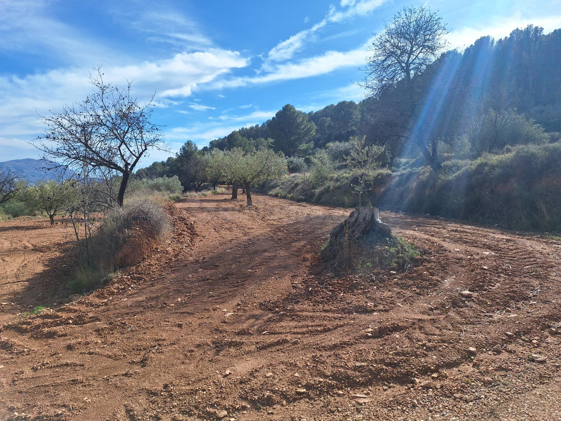 OPORTUNIDAD TERRENO RUSTICO CON PRODUCCION AGRICOLA A 3KM. D - foto 3
