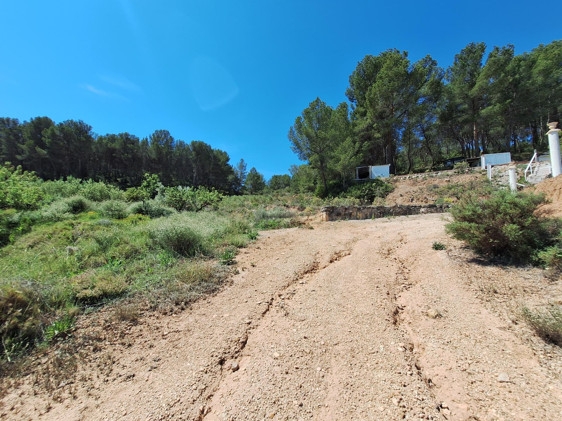 OPORTUNIDAD TERRENO RUSTICO CON PRODUCCION AGRICOLA A 3KM. D - foto 8