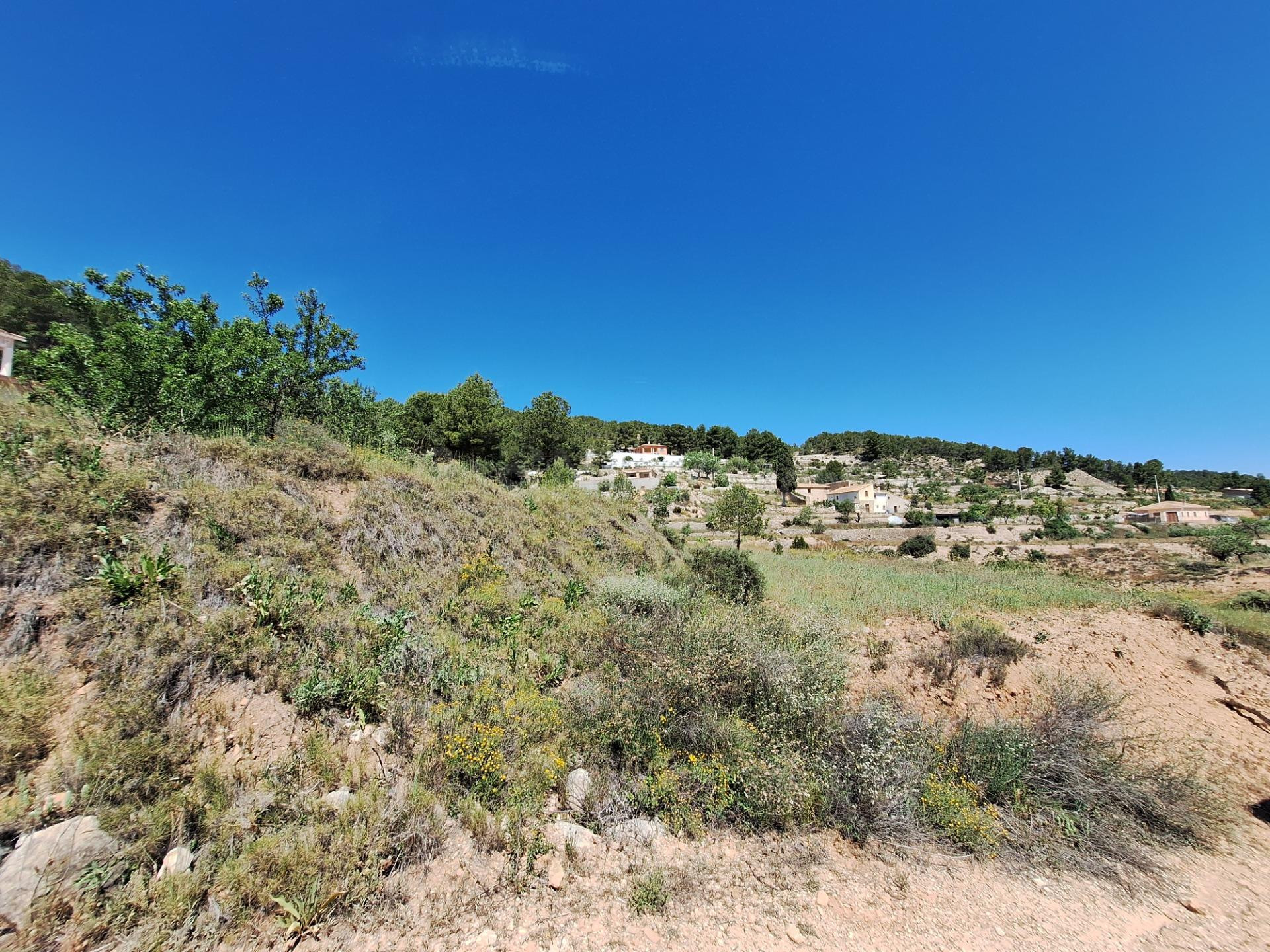 OPORTUNIDAD TERRENO RUSTICO CON PRODUCCION AGRICOLA A 3KM. D - foto 14