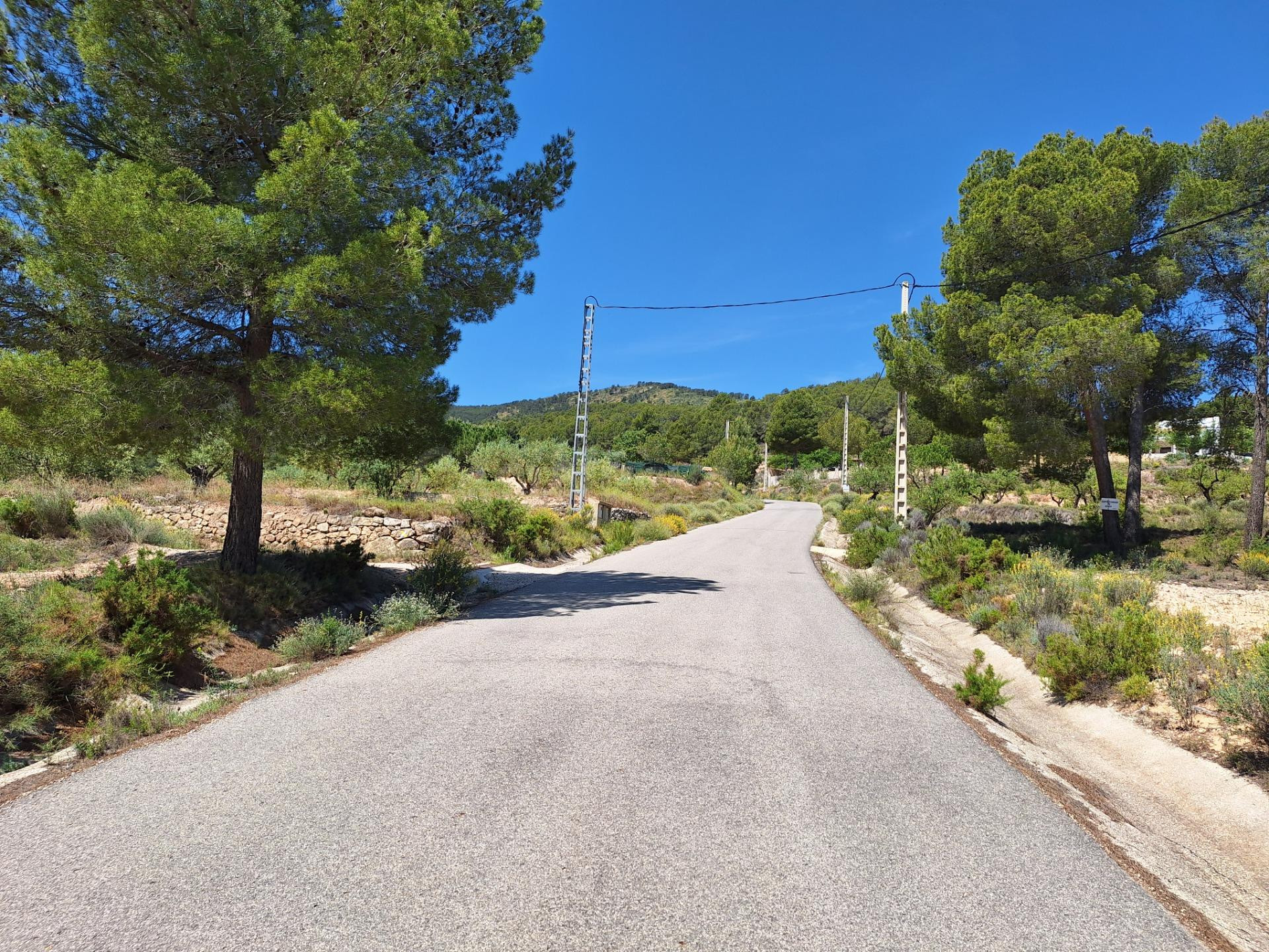 OPORTUNIDAD TERRENO RUSTICO CON PRODUCCION AGRICOLA A 3KM. D - foto 15