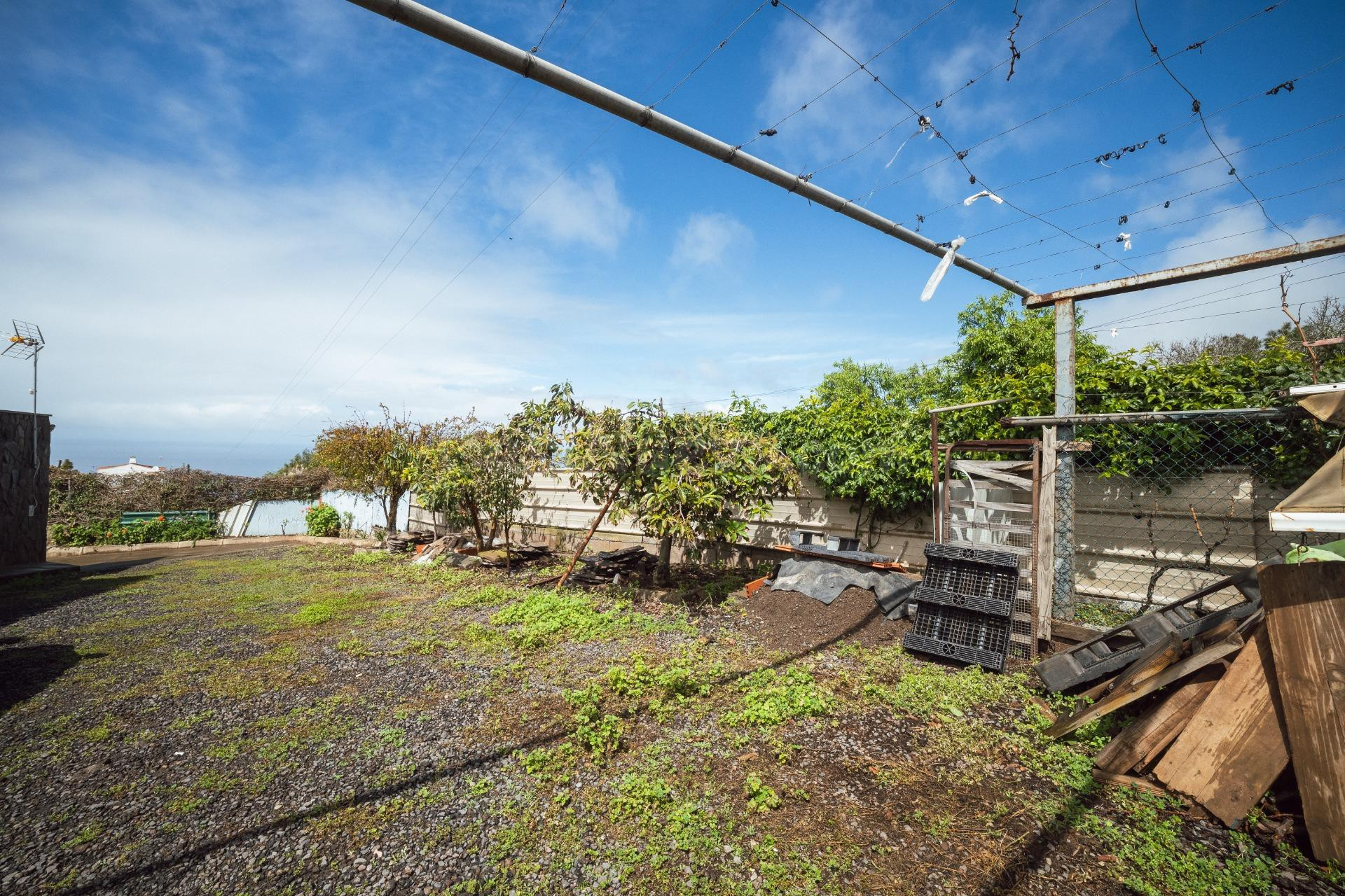 Encantadora finca rústica en El Sauzal con 3.000 m2, vistas  - foto 33