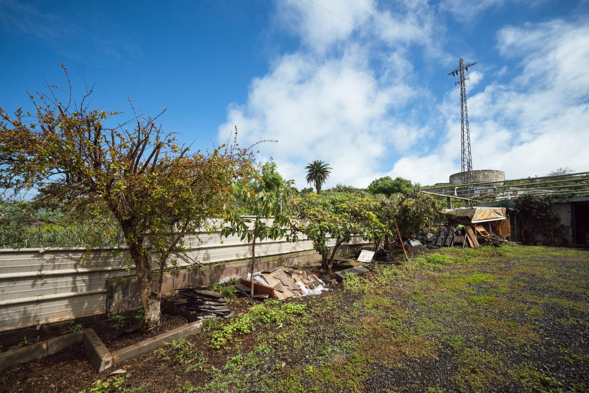 Encantadora finca rústica en El Sauzal con 3.000 m2, vistas  - foto 34