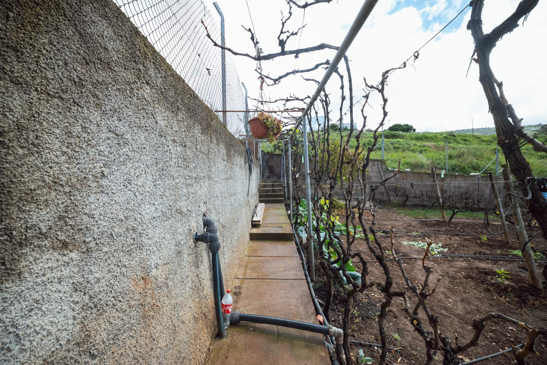 Encantadora finca rústica en El Sauzal con 3.000 m2, vistas  - foto 35