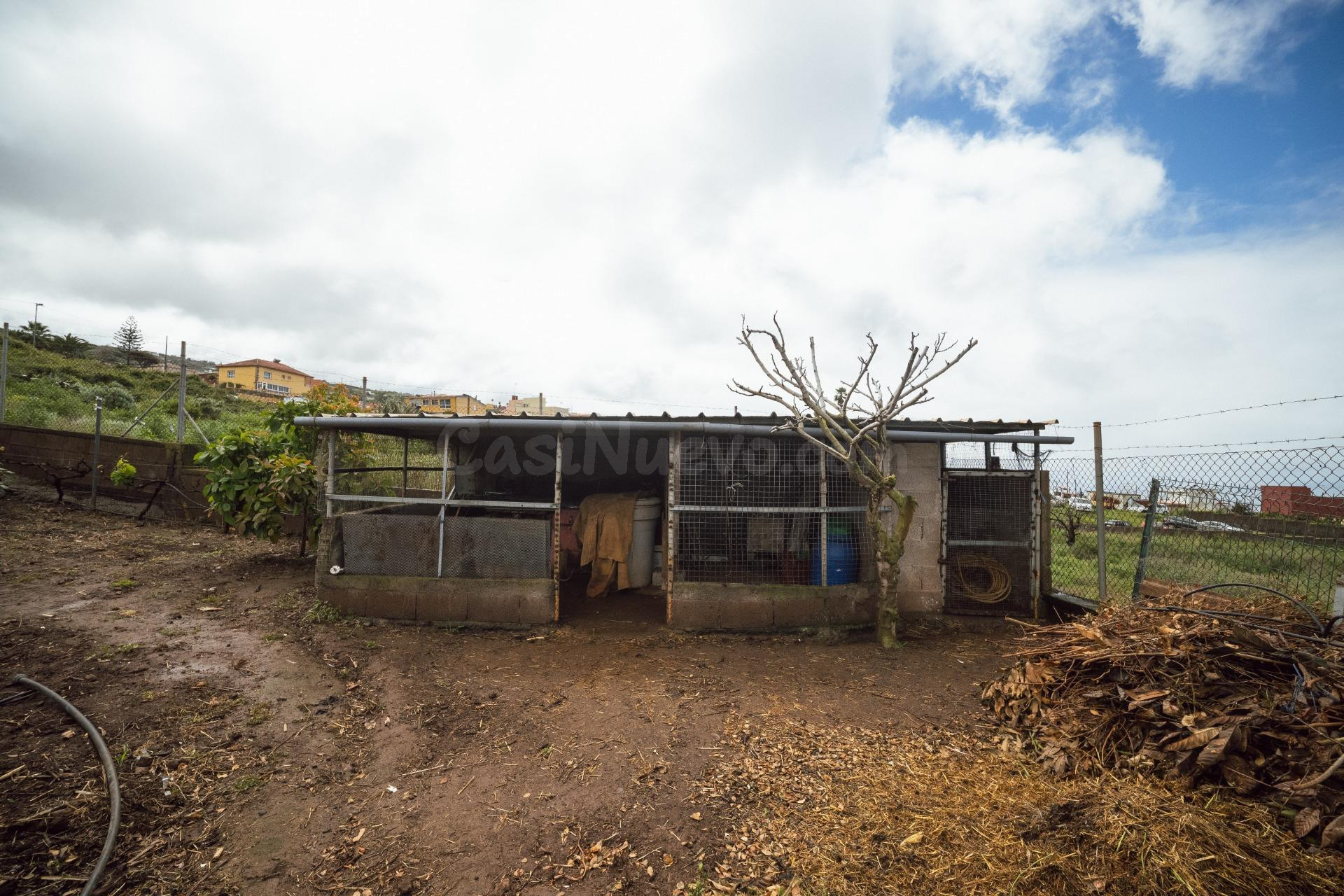Encantadora finca rústica en El Sauzal con 3.000 m2, vistas  - foto 49