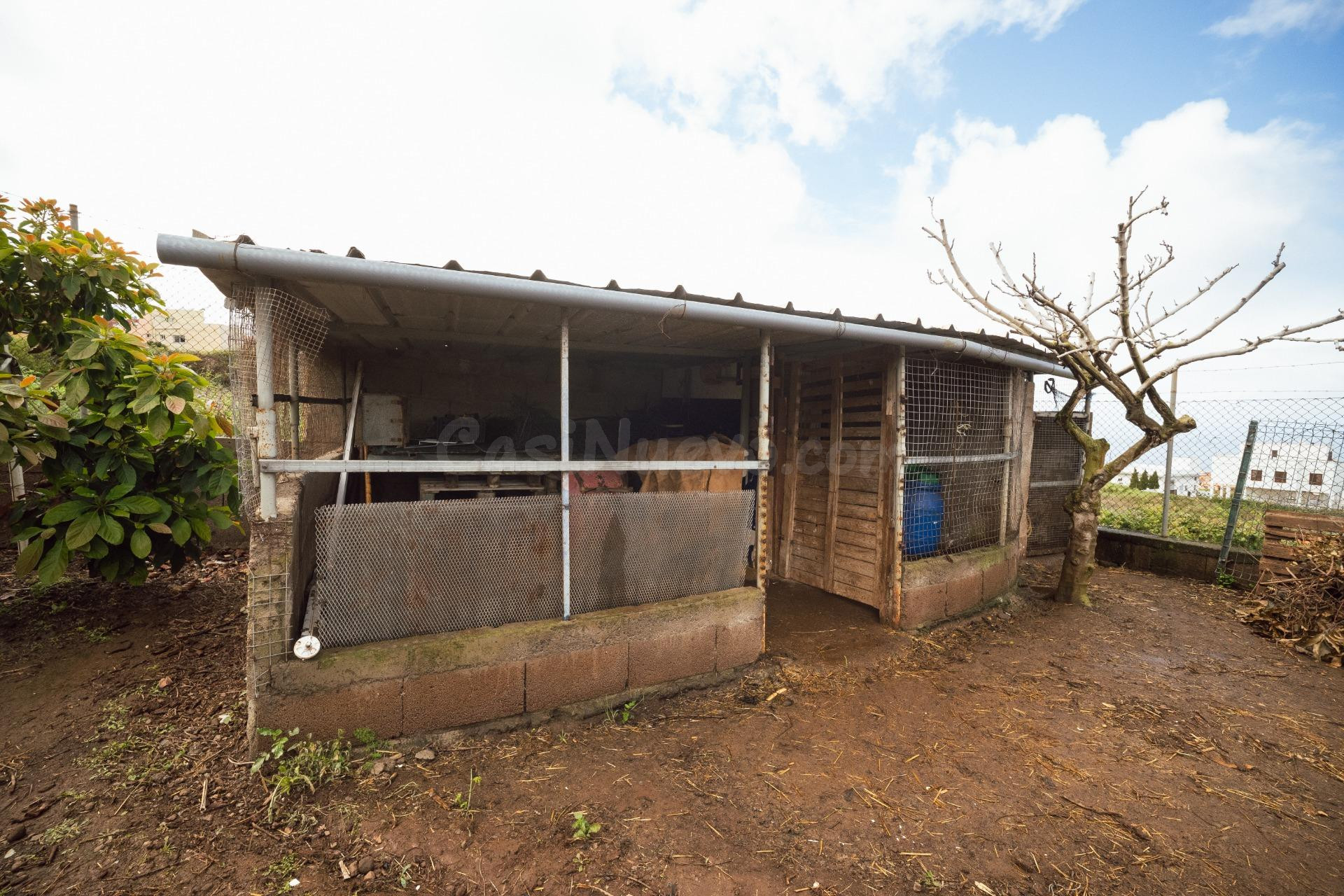 Encantadora finca rústica en El Sauzal con 3.000 m2, vistas  - foto 50