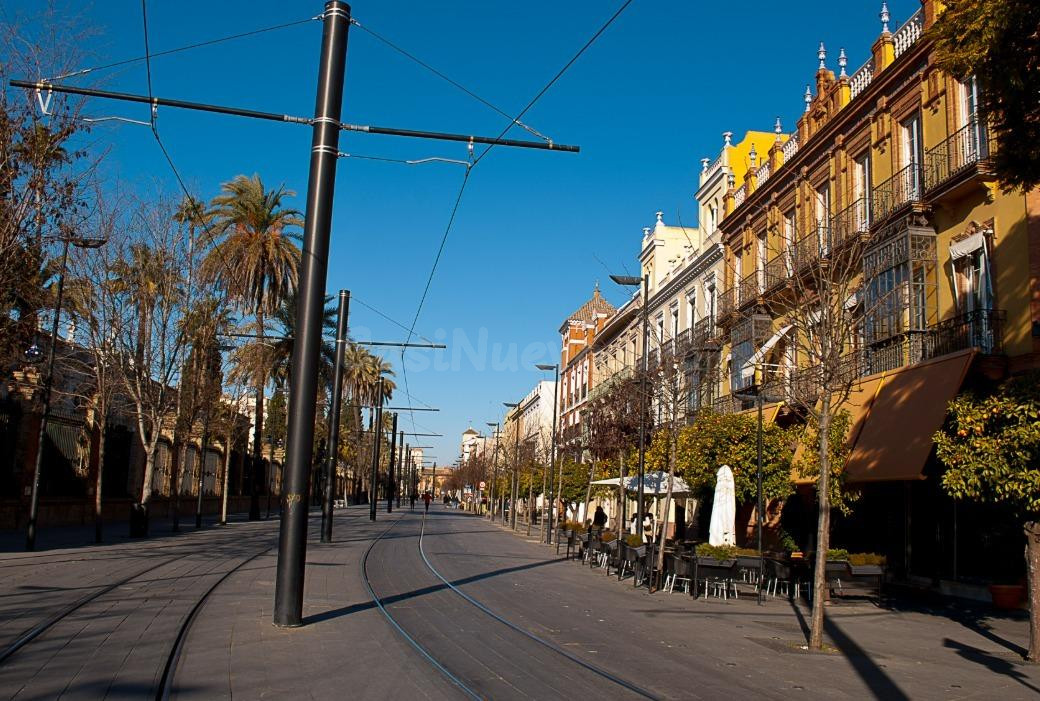 PLAZA DE GARAJE GRANDE EN calle SAN FERNANDO– CENTRO DE SEVI - foto 3