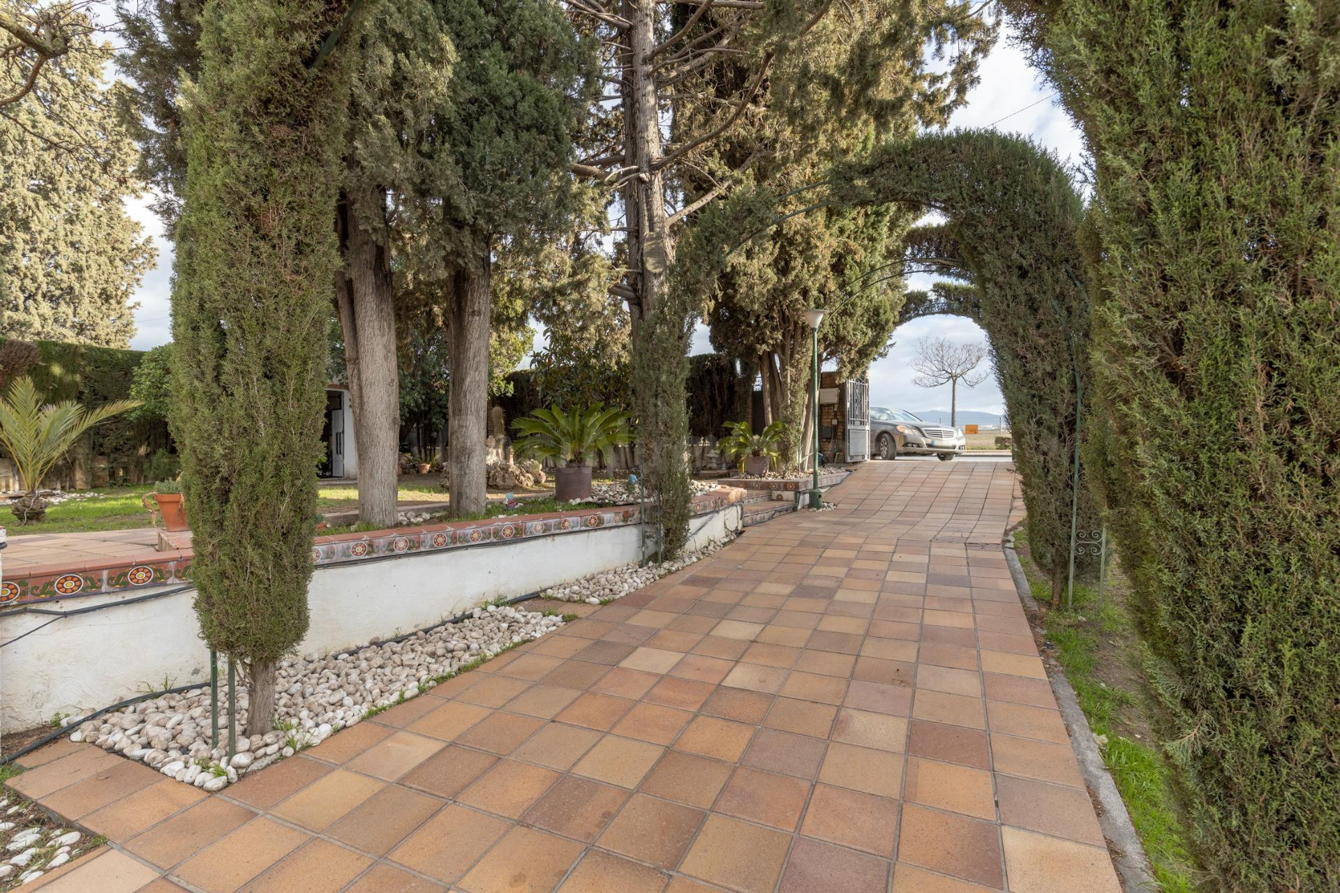 Gran vivienda con parcela de casi 900 m2 en Urbanización Los - foto 4