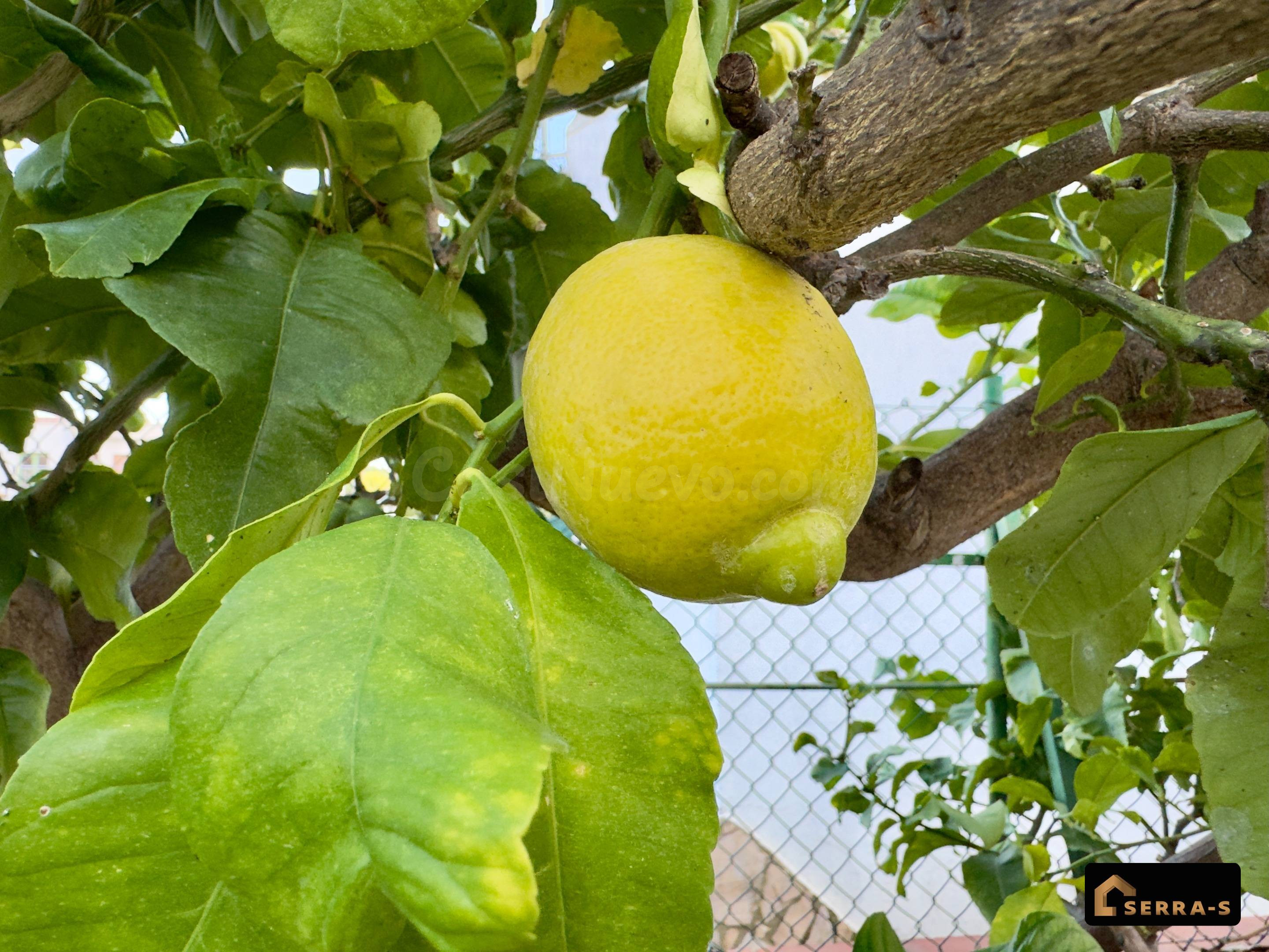 CASA DE PUEBLO CON GRAN POTENCIAL A POCOS PASOS DEL MAR EN Z - foto 22