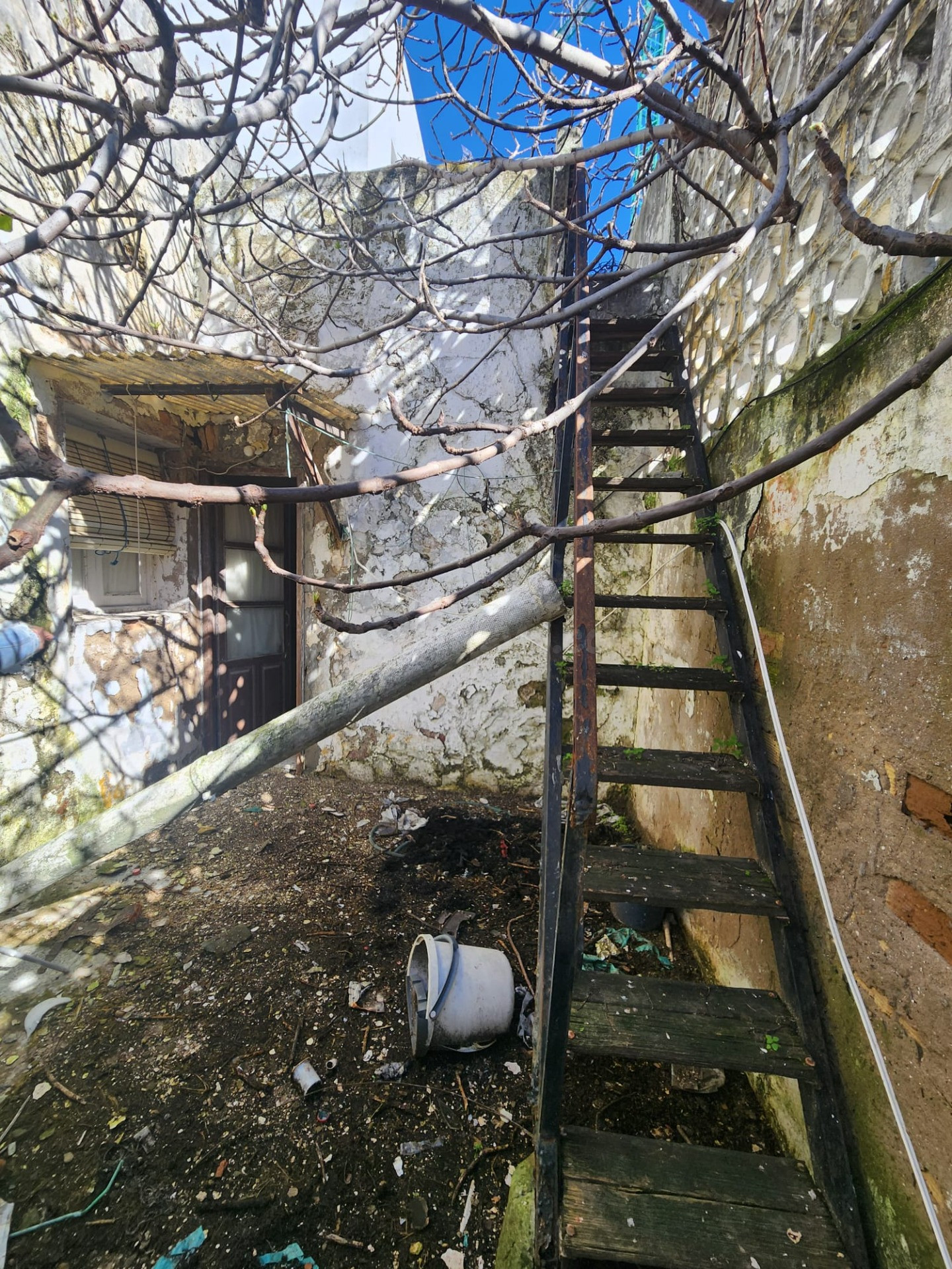 OPORTUNIDAD  DE FINCA EN ZONA CENTRICA - foto 3