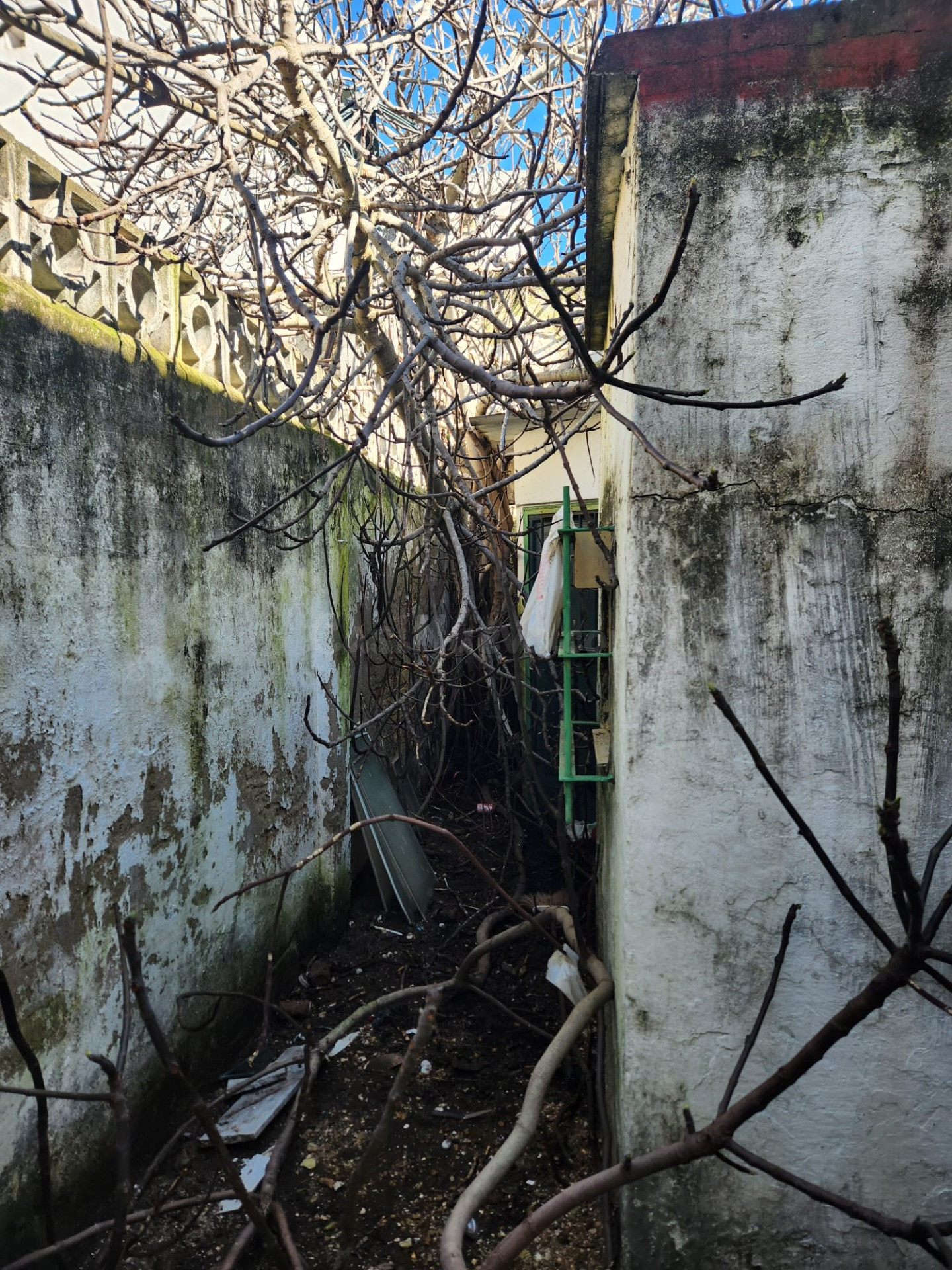 OPORTUNIDAD  DE FINCA EN ZONA CENTRICA - foto 6