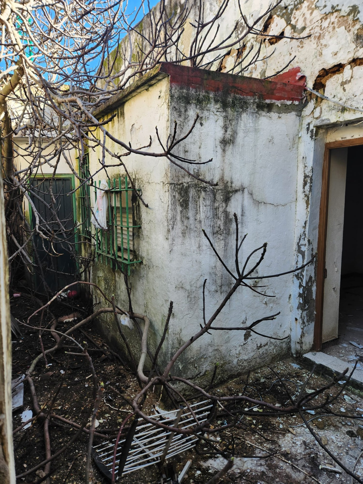 OPORTUNIDAD  DE FINCA EN ZONA CENTRICA - foto 7