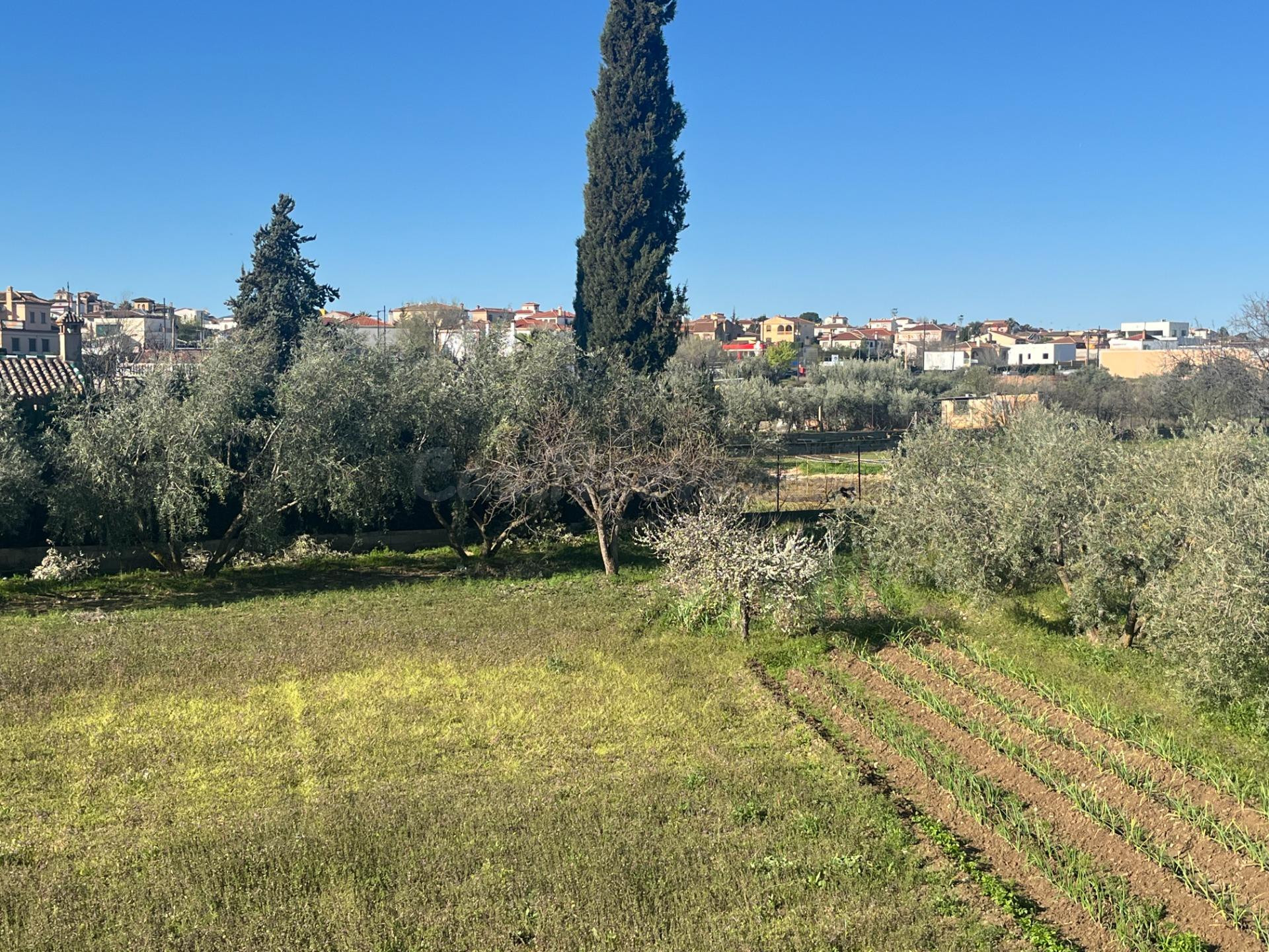 FINCA CON UN ESPECIAL ENCANTO Y A METROS DEL CASCO URBANO, J - foto 9