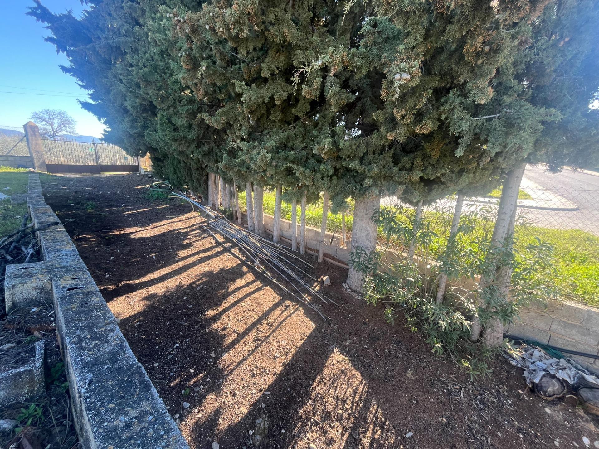 FINCA CON UN ESPECIAL ENCANTO Y A METROS DEL CASCO URBANO, J - foto 10