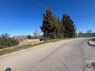 FINCA CON UN ESPECIAL ENCANTO Y A METROS DEL CASCO URBANO, J - foto 18